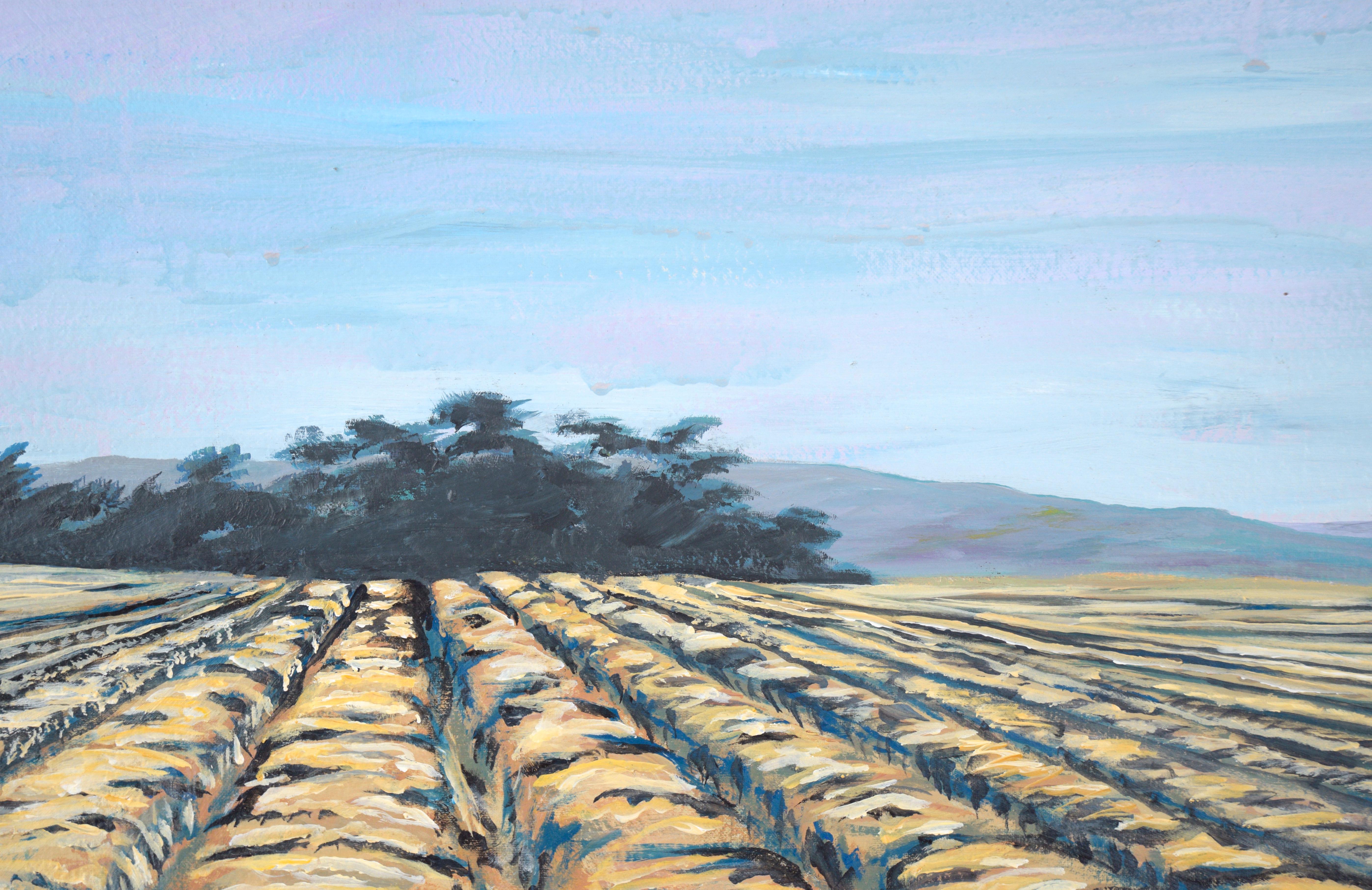 Moss Landing Farm Landscape in Acrylic on Canvas

Expansive farm landscape by a California artist (20th Century), Unknown. The viewer is low to the ground, in the middle of a tilled field. The furrows extend away from the viewer into the distance