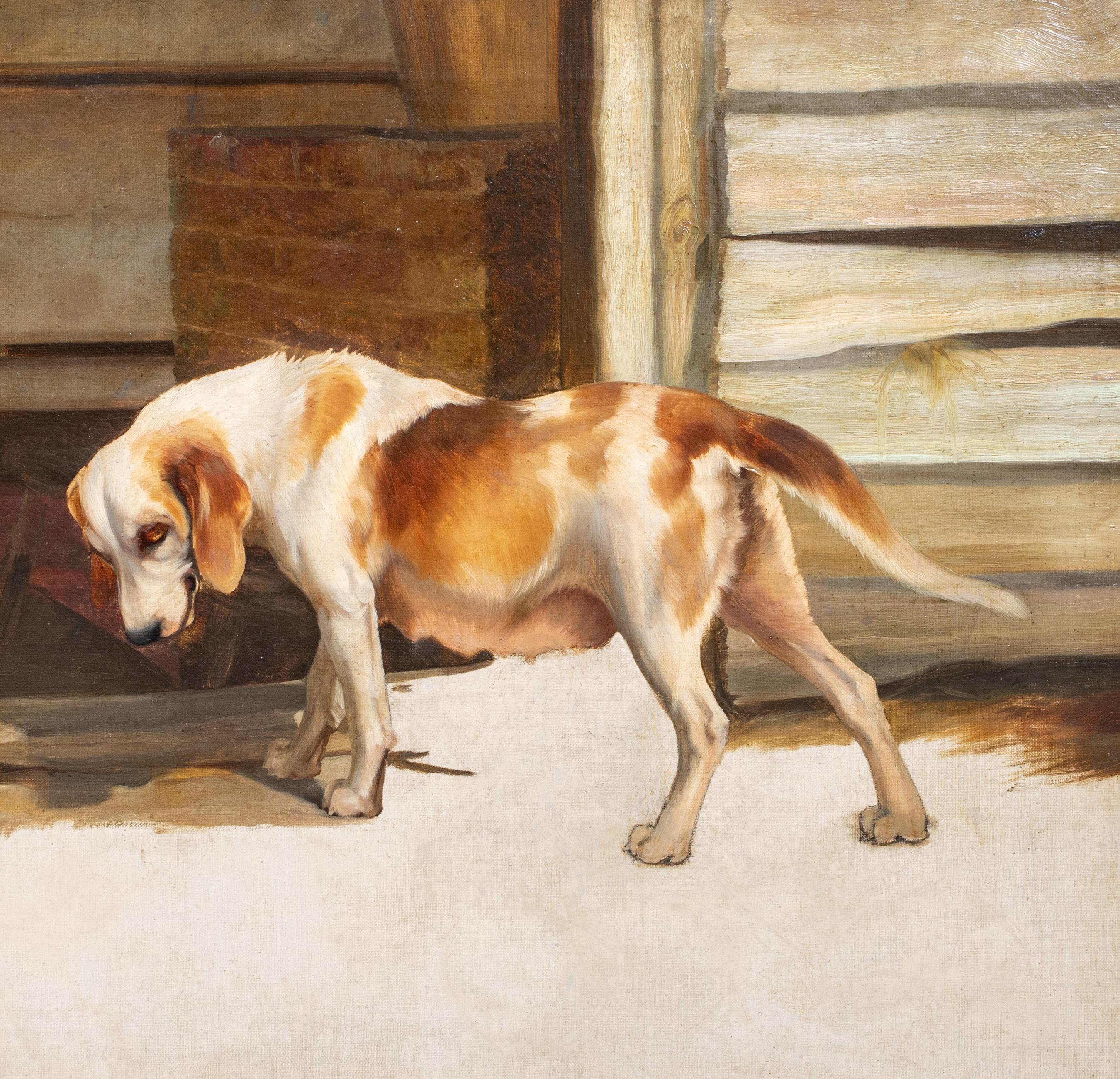 Motherhood, 19th Century   English School Hound Dog & Her Puppies For Sale 4