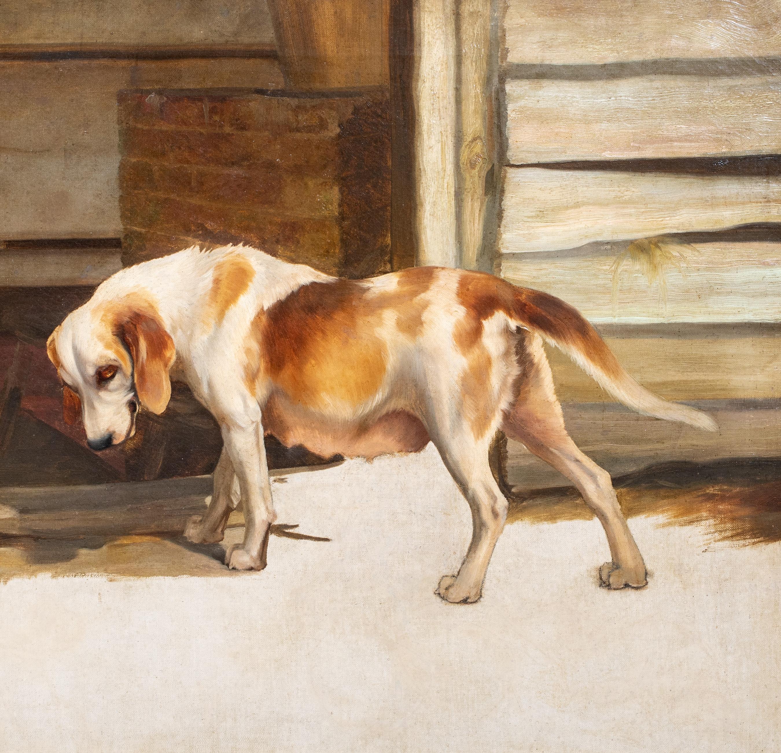 Motherhood, 19th Century   English School Hound Dog & Her Puppies For Sale 3