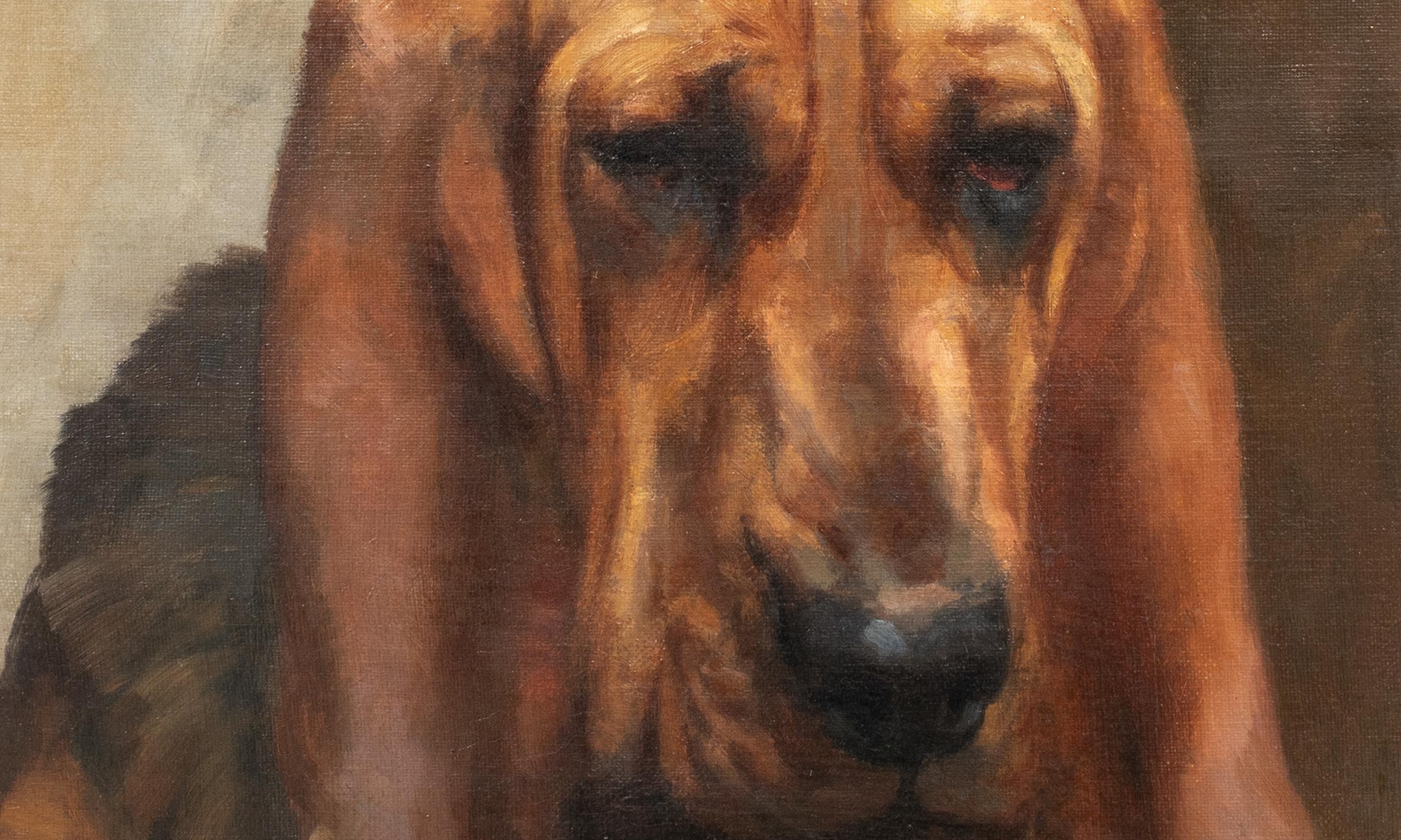 Mrs T S Meares Bloodhound 