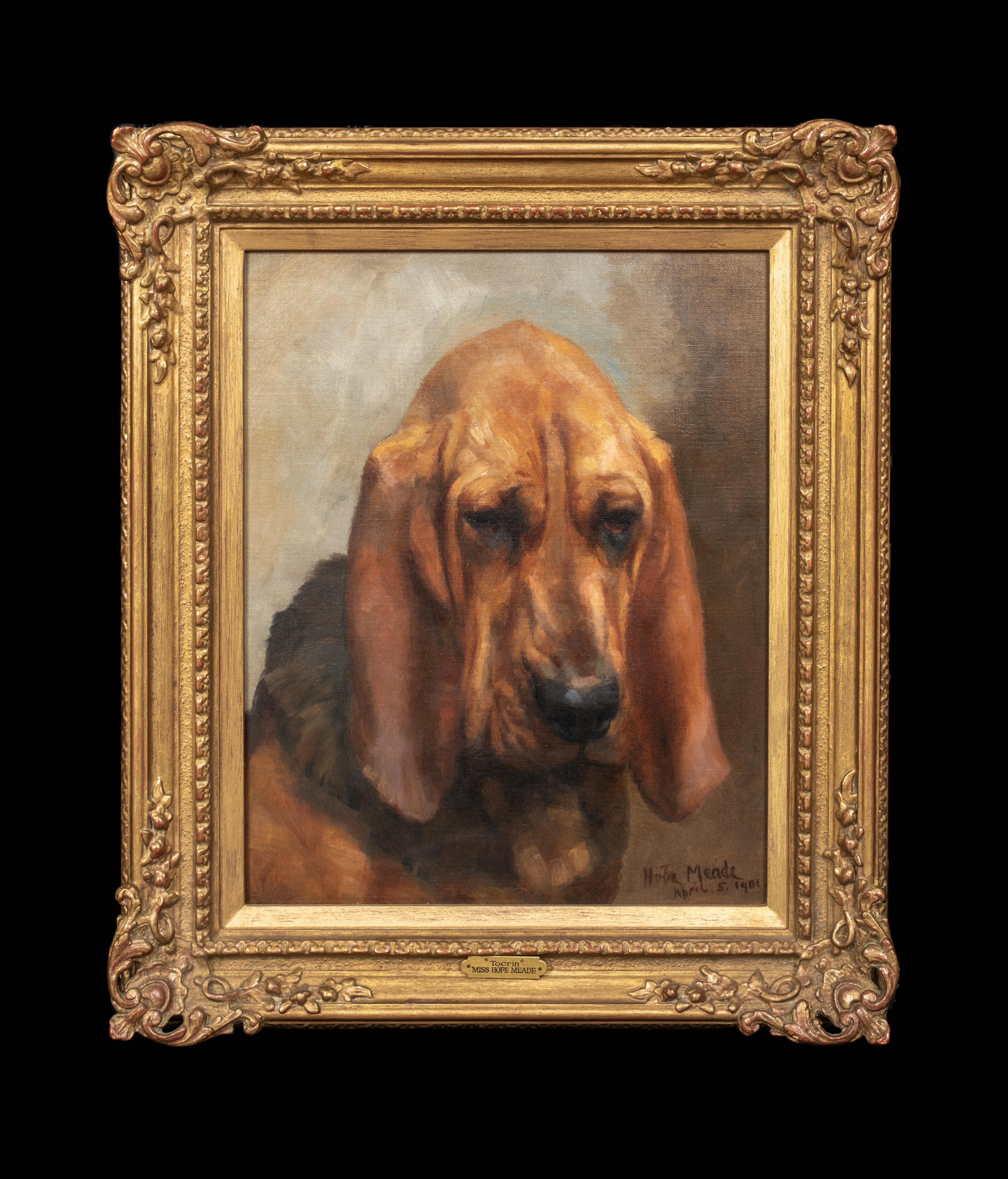 Mrs T S Meares Bloodhound 