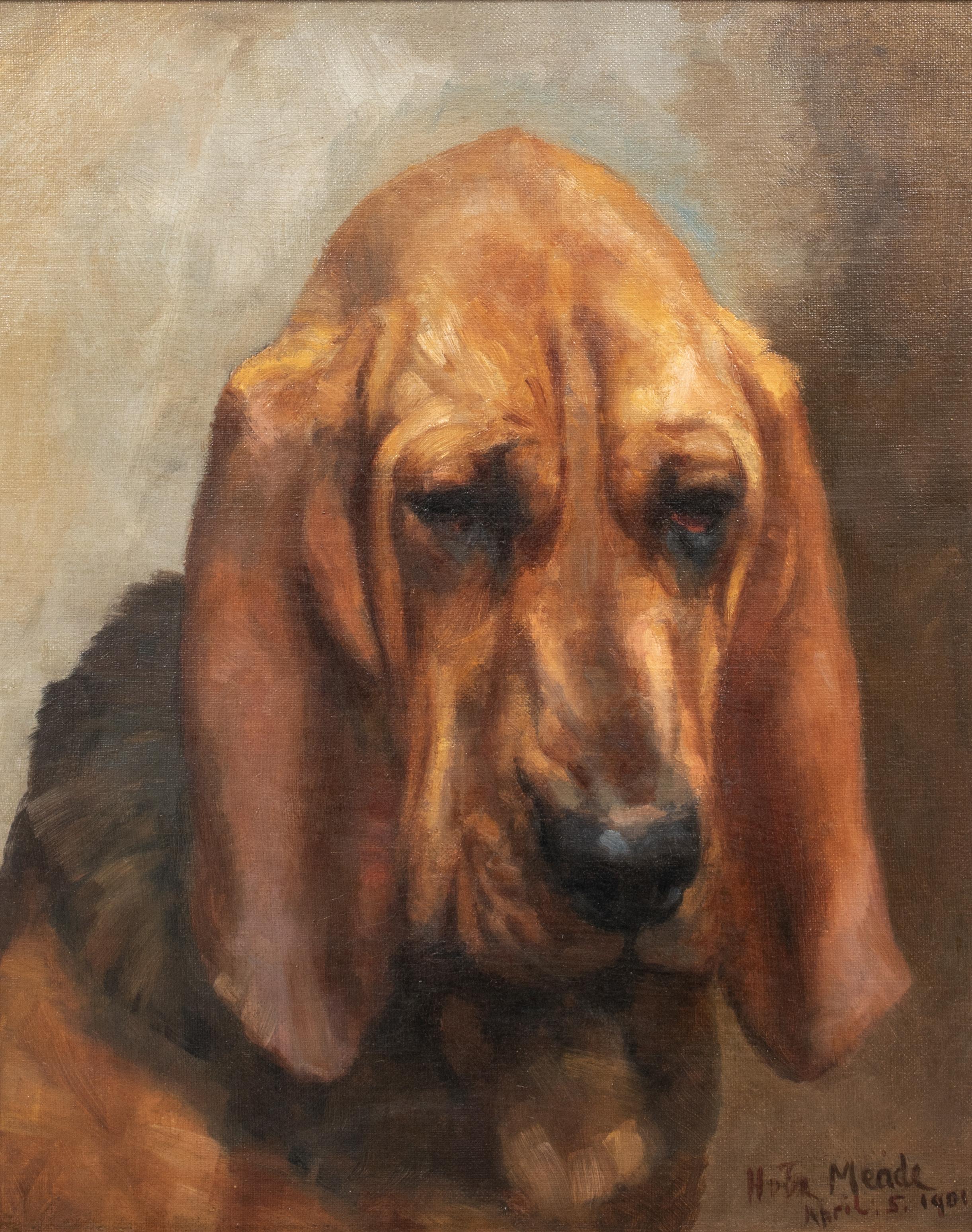Mrs T S Meares Bloodhound 