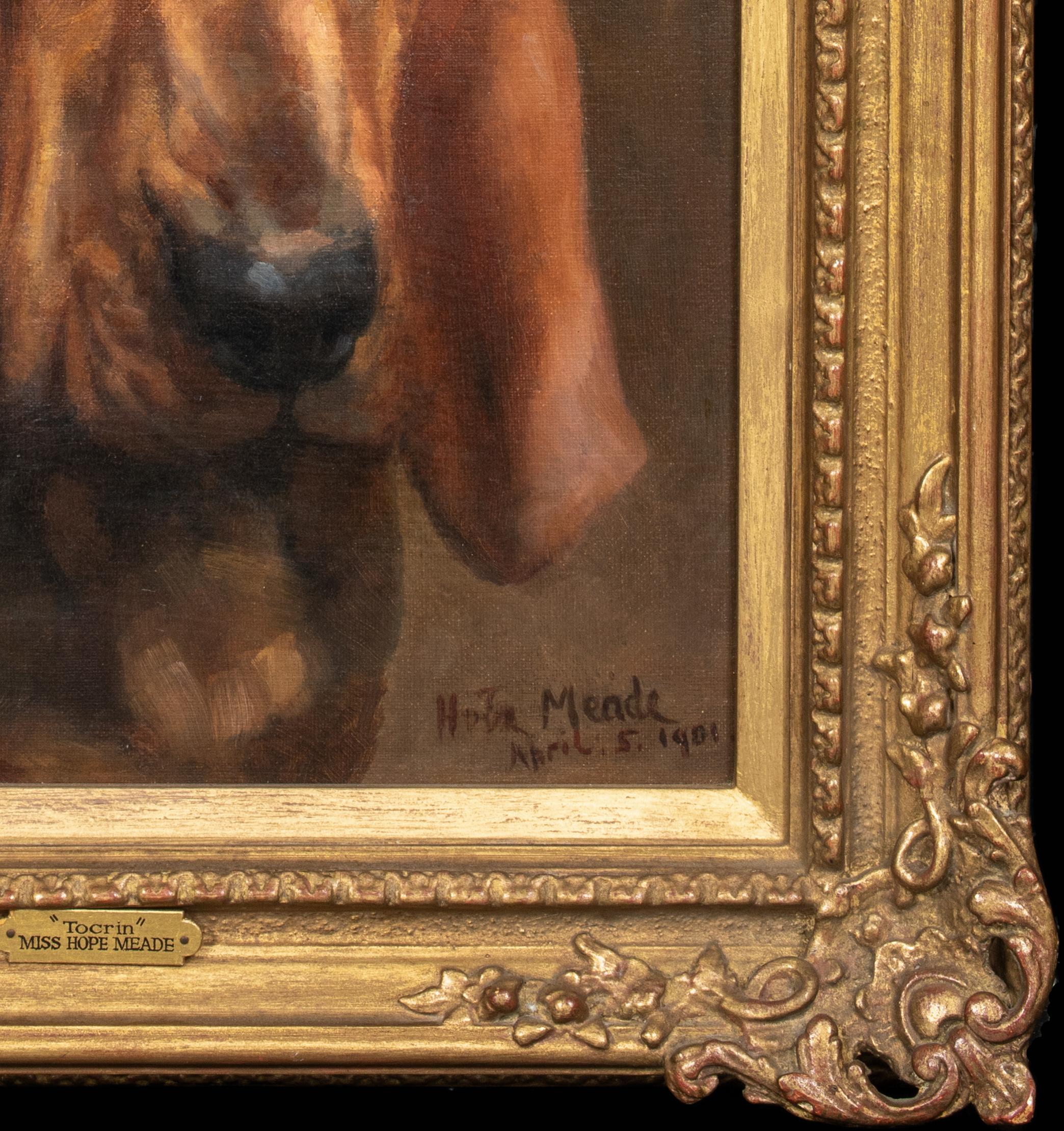Mrs T S Meares Bloodhound 