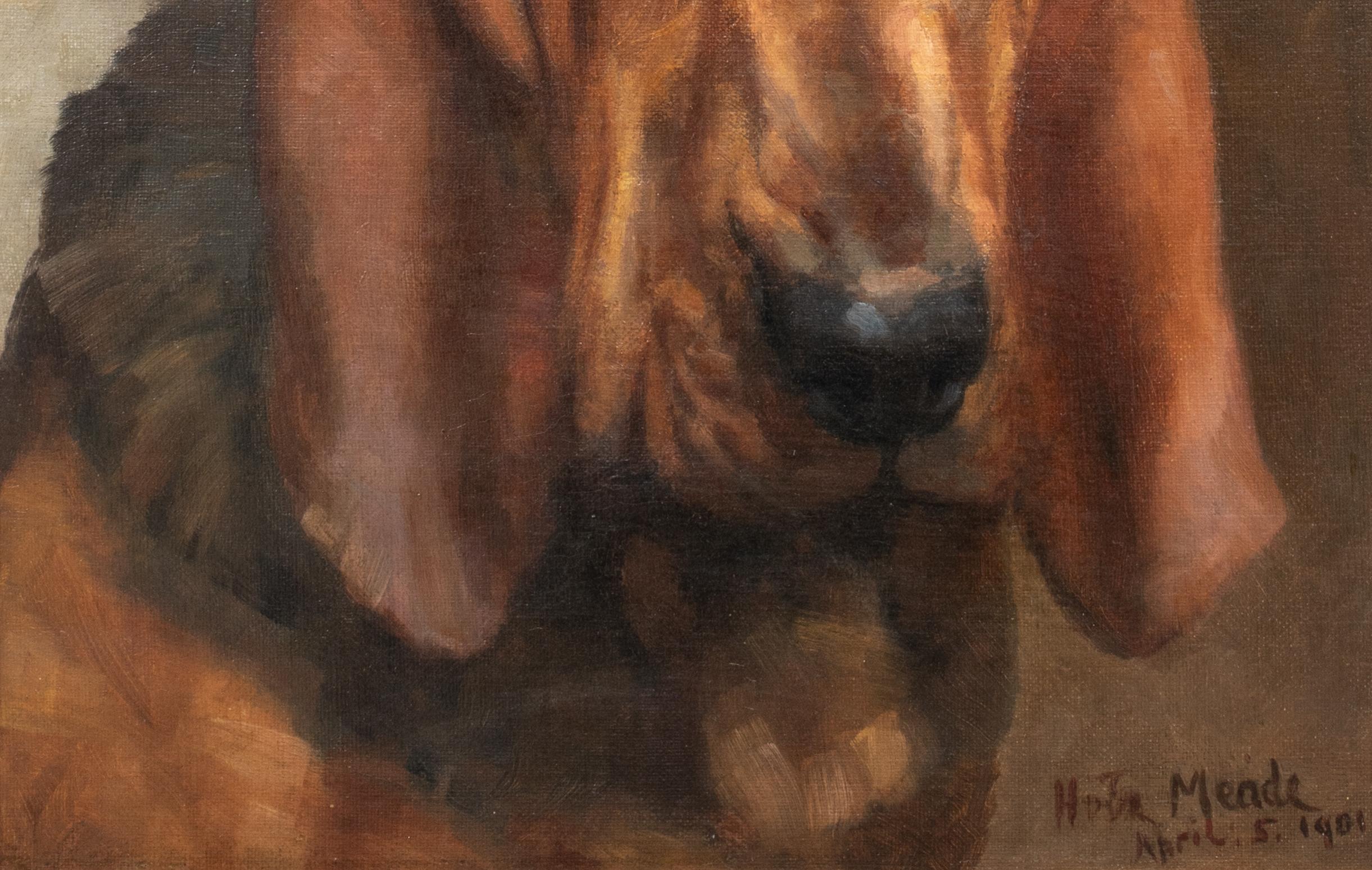 Mrs T S Meares Bloodhound 