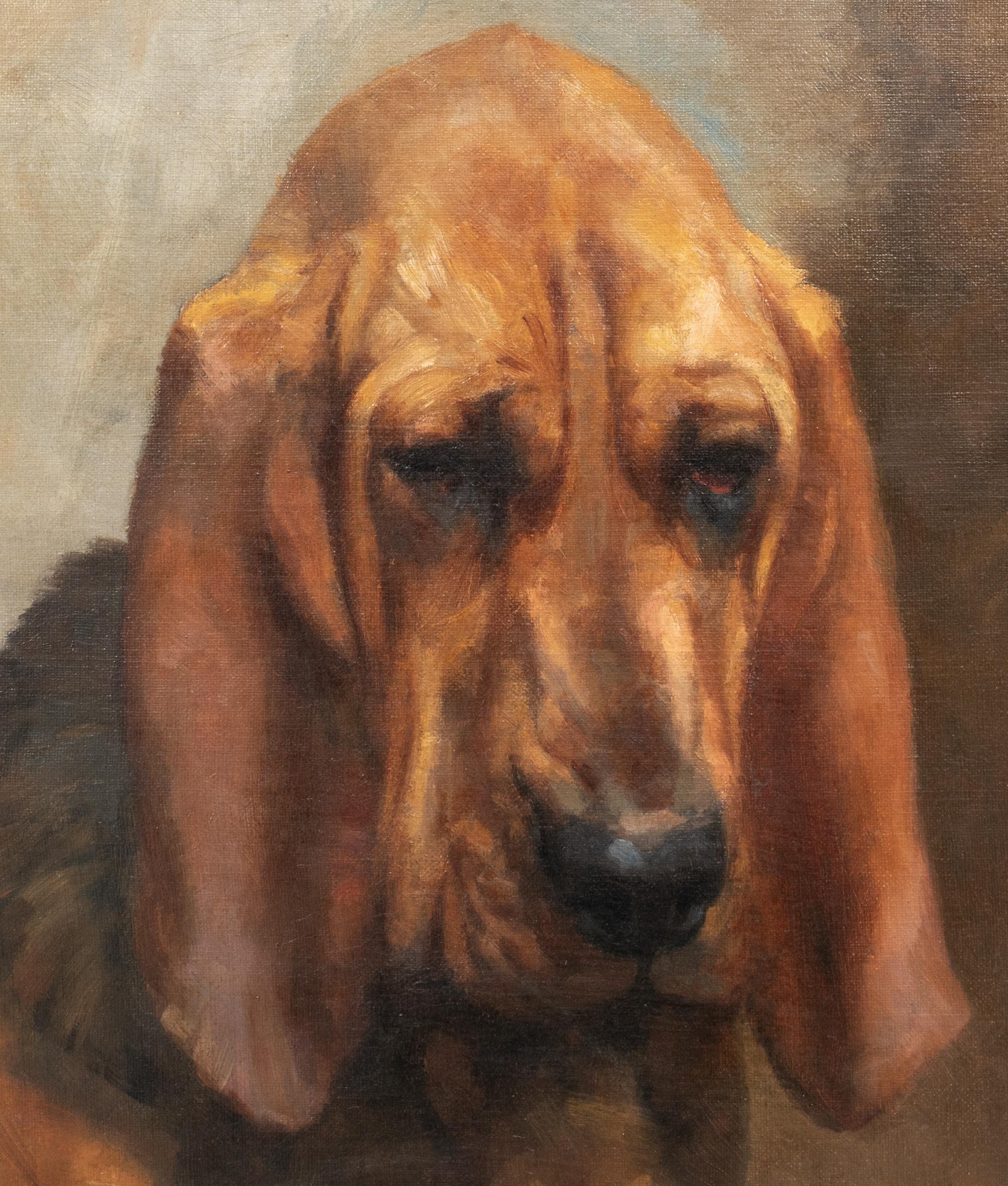 Mrs T S Meares Bloodhound 