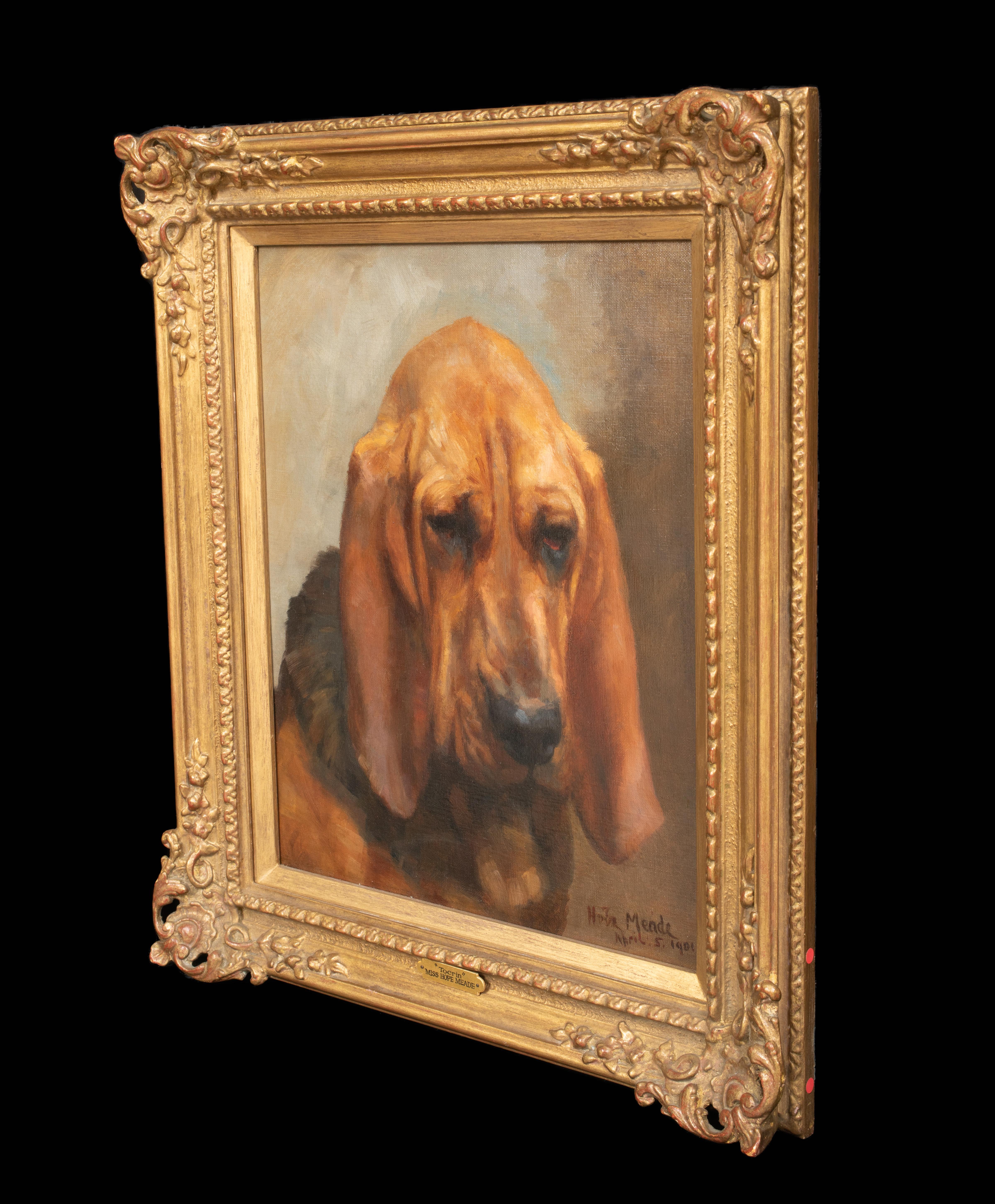 Mrs T S Meares Bloodhound 