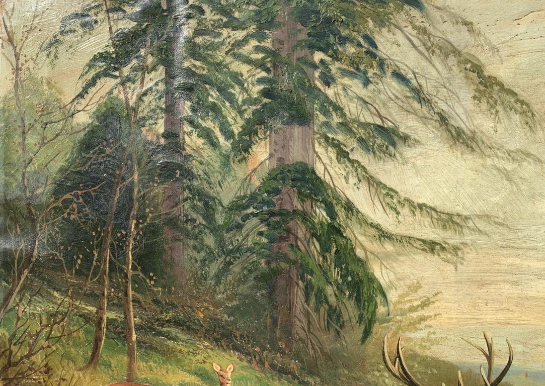 Naturalist painter - Late 19th century landscape painting - Deers Mountain  - Naturalistic Painting by Unknown