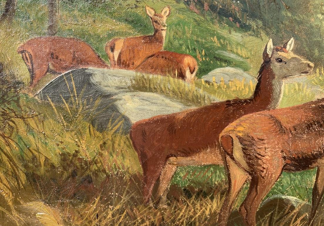 Naturalist painter - Late 19th century landscape painting - Deers Mountain  For Sale 1