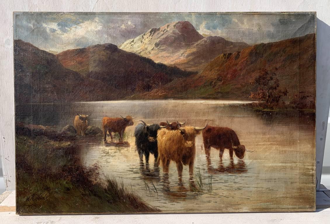 Pittore naturalista britannico - Pittura paesaggistica del XIX secolo - Bovini delle Highlands - Painting di Unknown