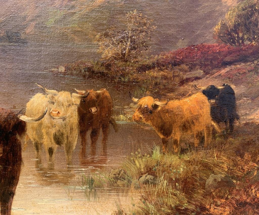 Pittore naturalista britannico - Pittura paesaggistica del XIX secolo - Bovini delle Highlands - Painting Naturalismo di Unknown