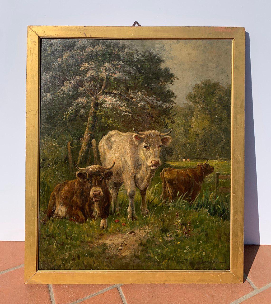 European painter (late 19th century) - Grazing cows.

61 x 51 cm without frame, 66 x 56 cm with frame.

Antique oil painting on canvas, in a gilded wooden frame.

- Work signed indistinctly lower right.

Condition report: Lined canvas. Good state of