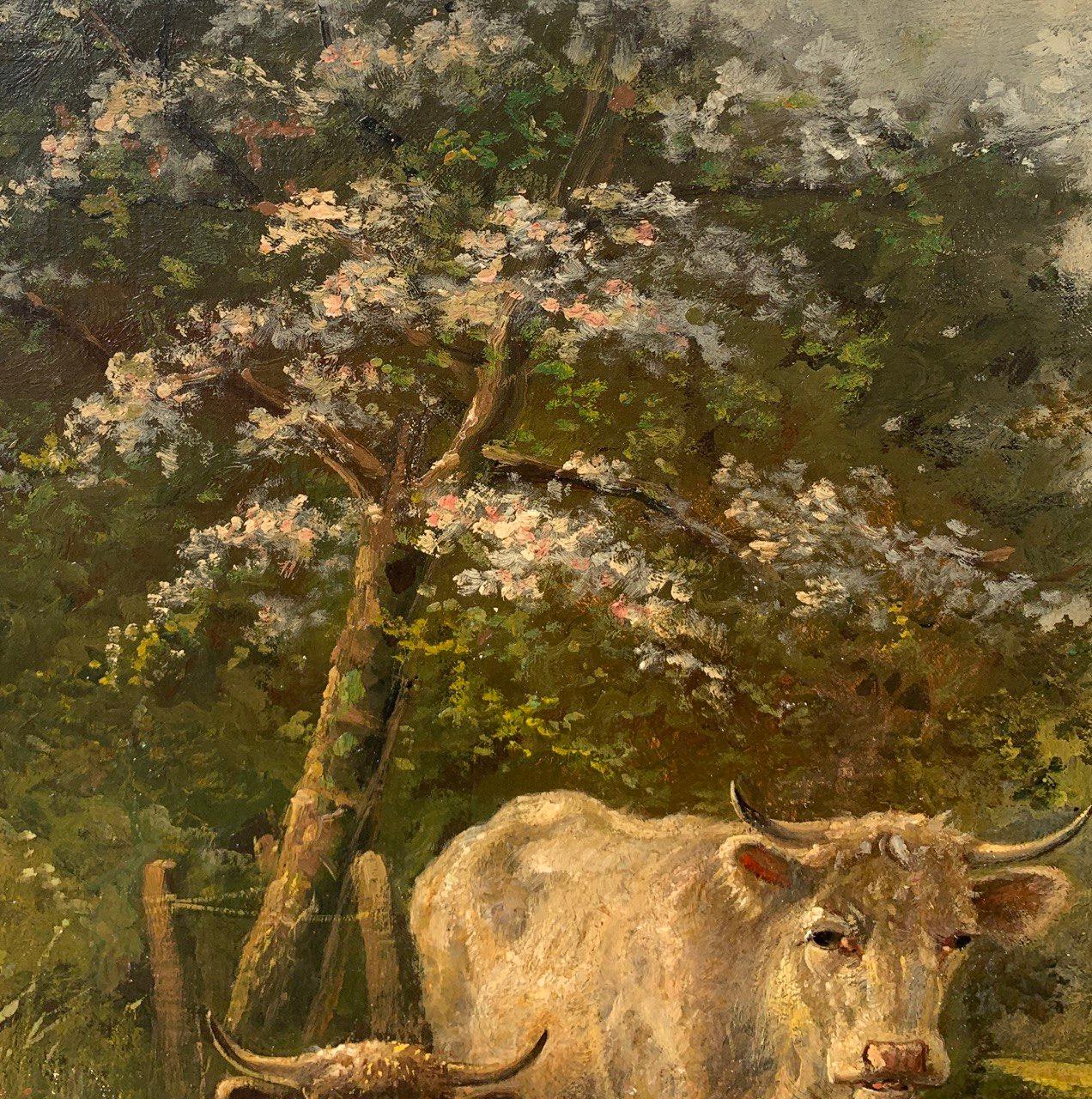Naturalistic European painte- 19th century landscape painting - Cows grazing For Sale 3