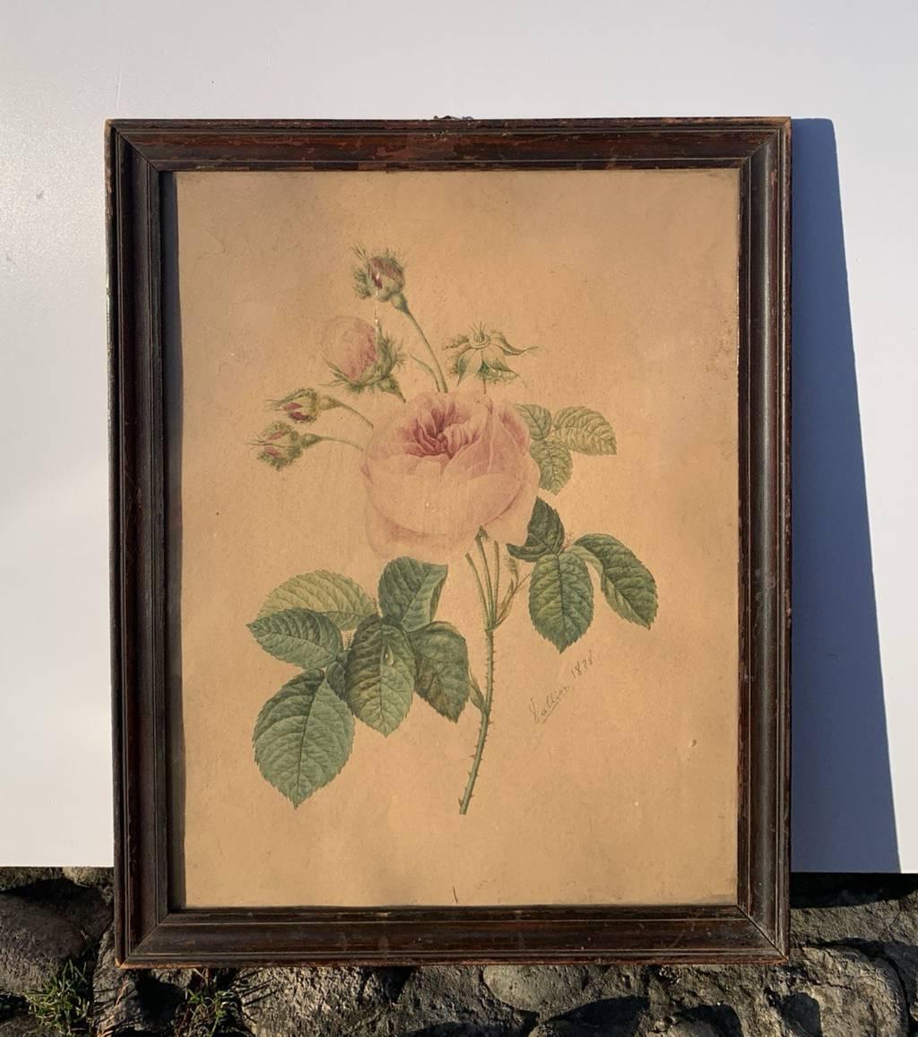 European Designer (dated 1828) - The Rose.

35.5 x 27.5 cm without frame, 39 x 31 cm with frame.

Pencil and watercolor drawing on paper, in a wooden frame (under glass).

- Work signed and dated: “1828”.

Condition report: Good state of