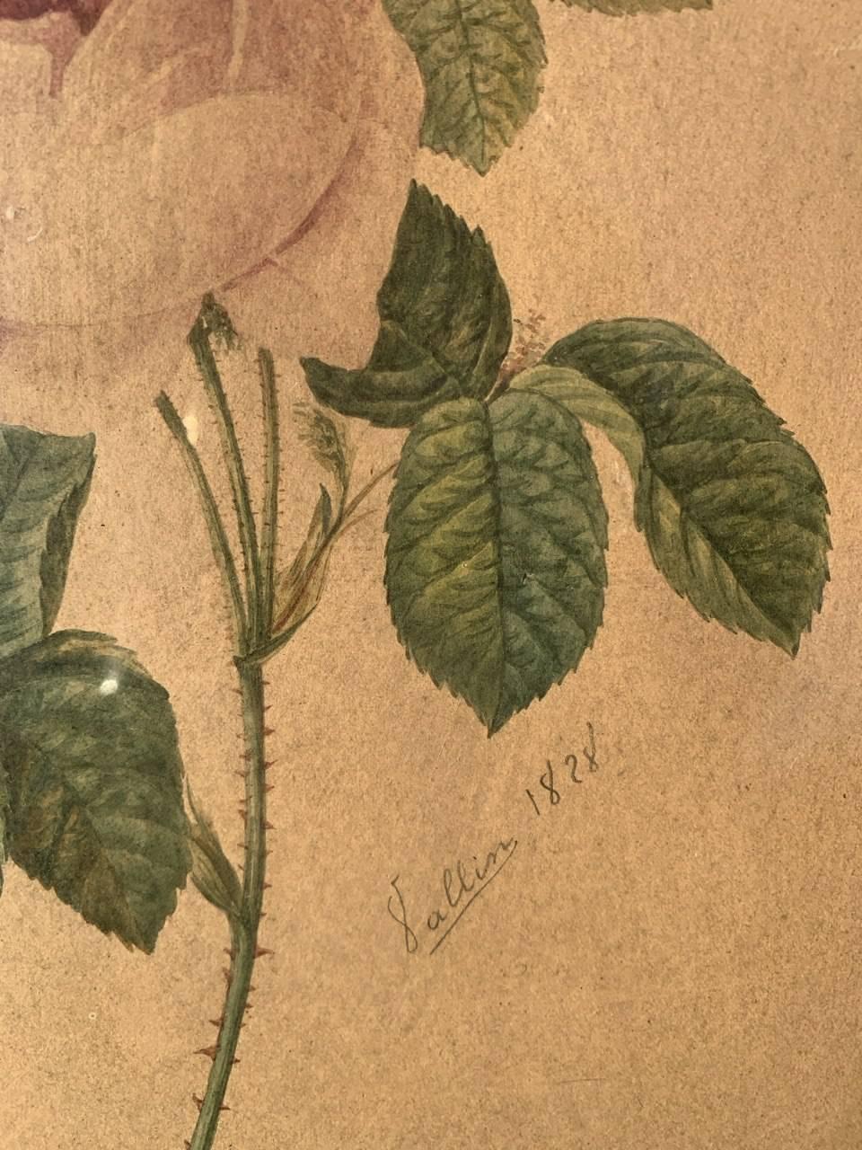 Naturalistic European painter - 19th century Still Life painting - Rose For Sale 1
