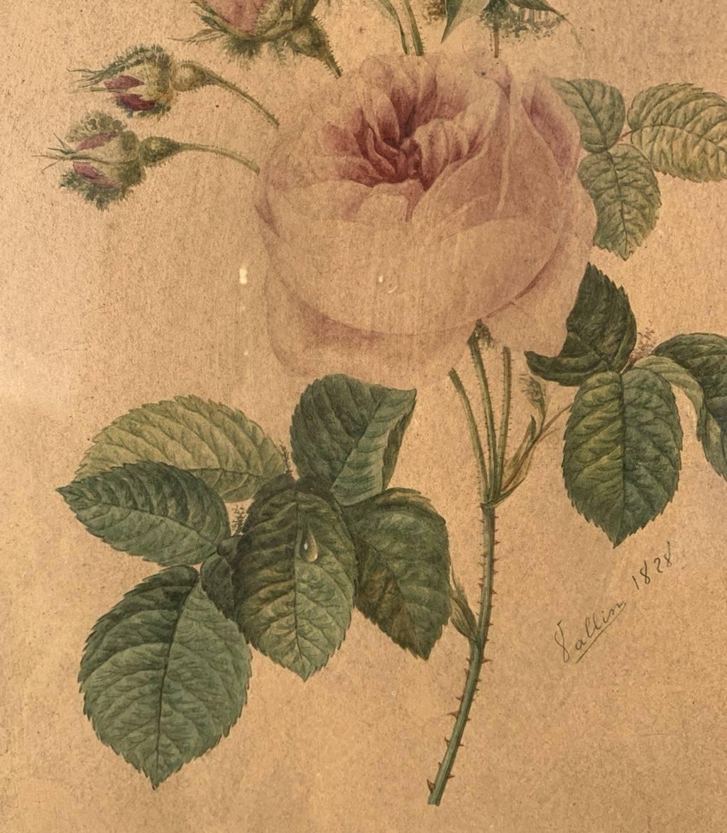 Naturalistic European painter - 19th century Still Life painting - Rose For Sale 2