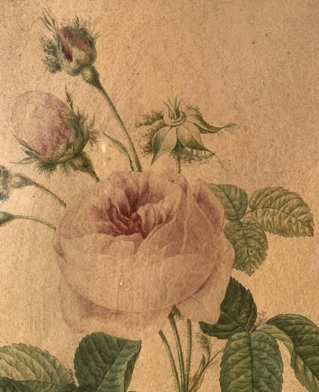 Naturalistic European painter - 19th century Still Life painting - Rose For Sale 4