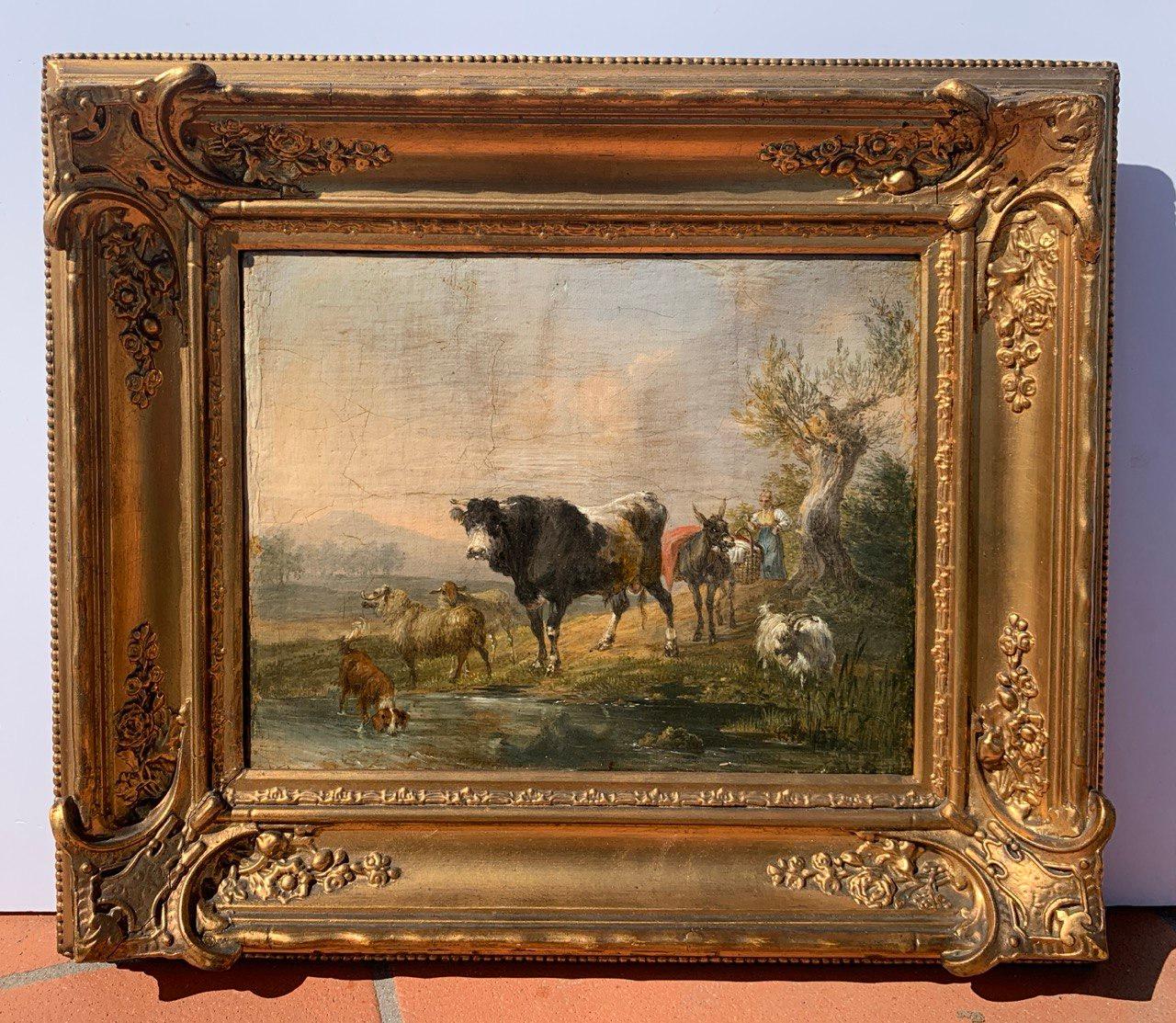 Naturalistic Italian painter - 17/18th century landscape painting - Cows, goats - Brown Figurative Painting by Unknown