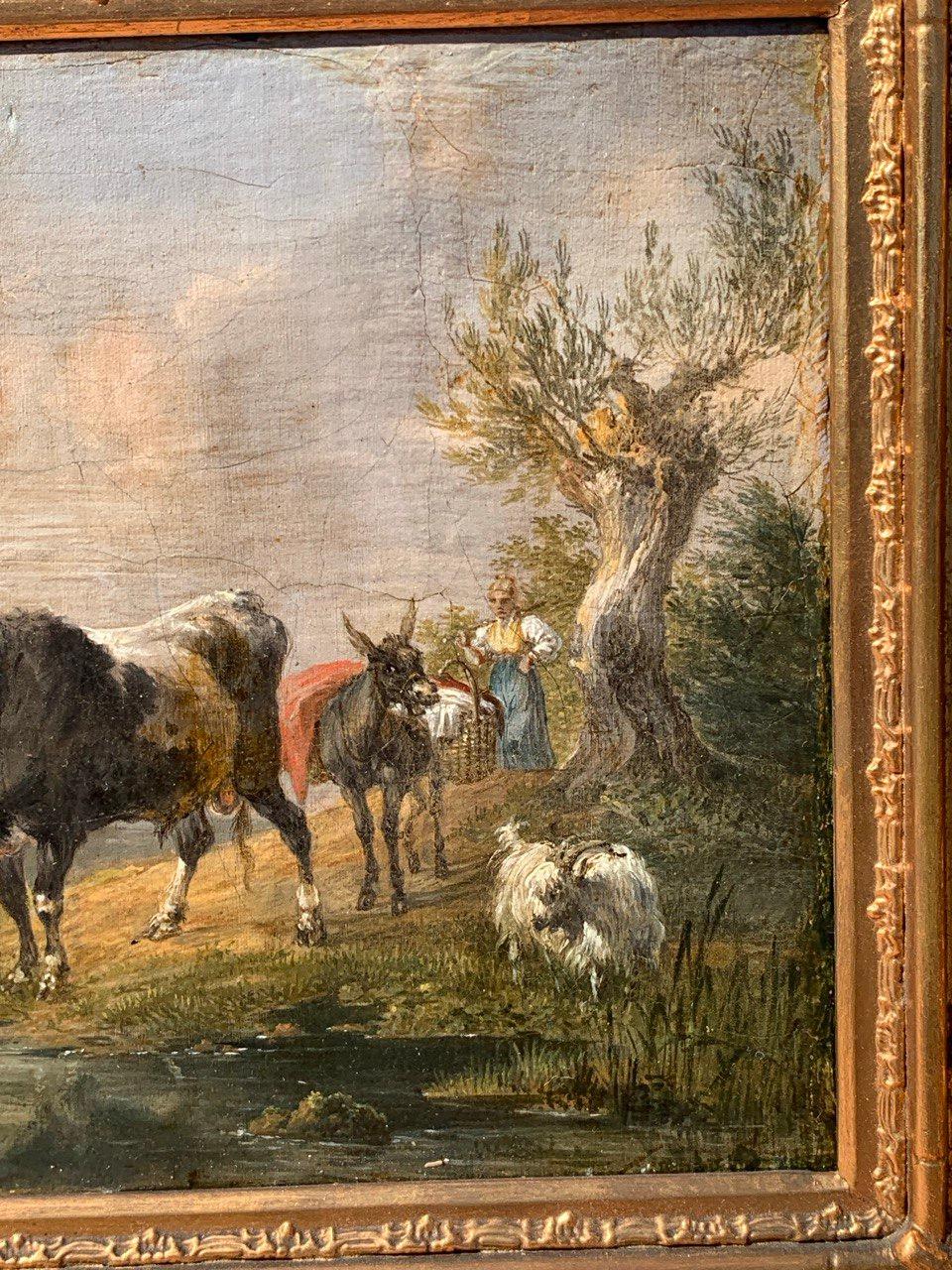 Naturalistic Italian painter - 17/18th century landscape painting - Cows, goats For Sale 1