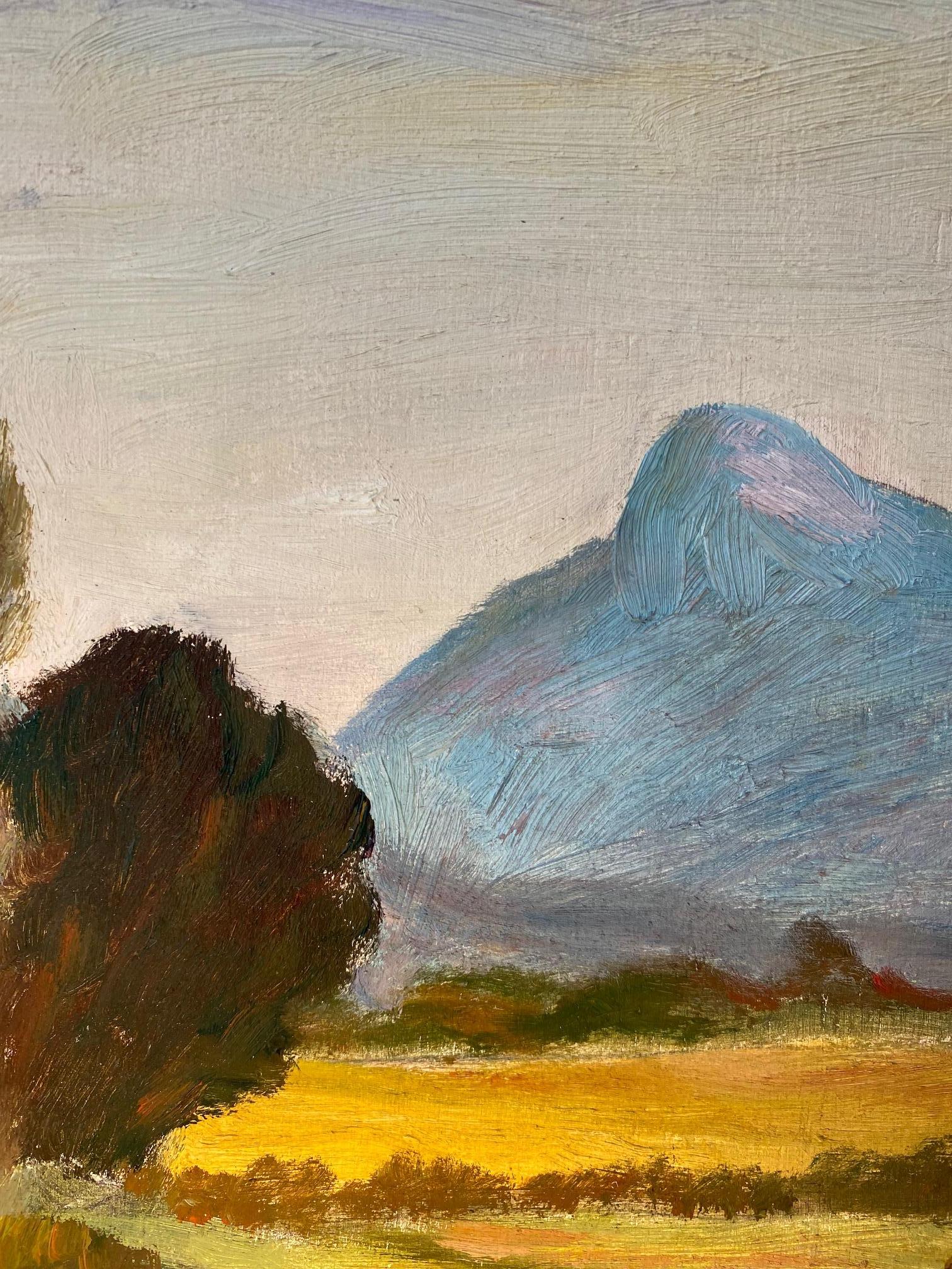 „Near Jussy, Schweiz“ von Morini Zolfanelli - Öl auf Holz 46x65 cm im Angebot 3