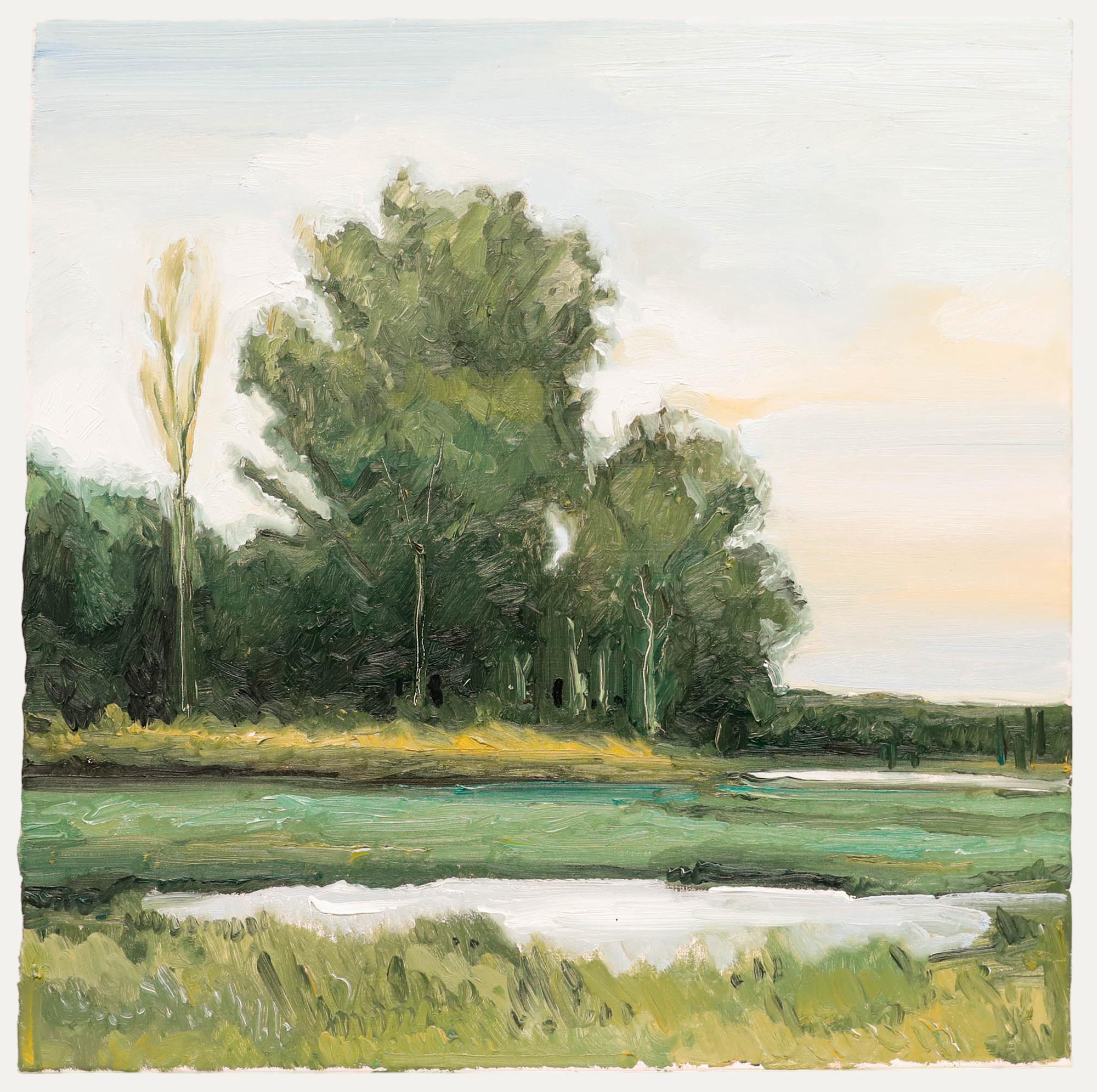 Unknown Landscape Painting – Nick Todhunter - Zeitgenössisches Öl, In Evening Air