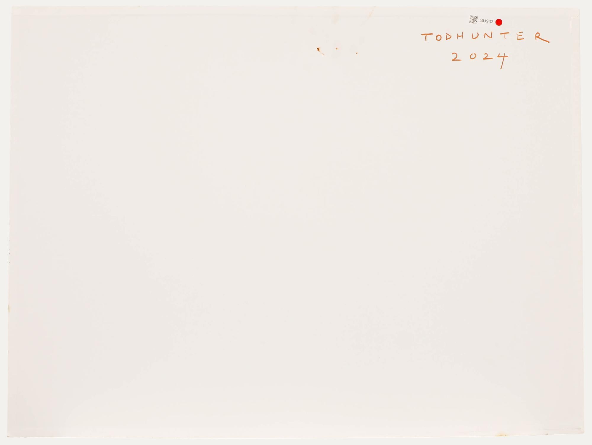 Nick Todhunter - Zeitgenössisches Öl, Pale White Horse – Painting von Unknown