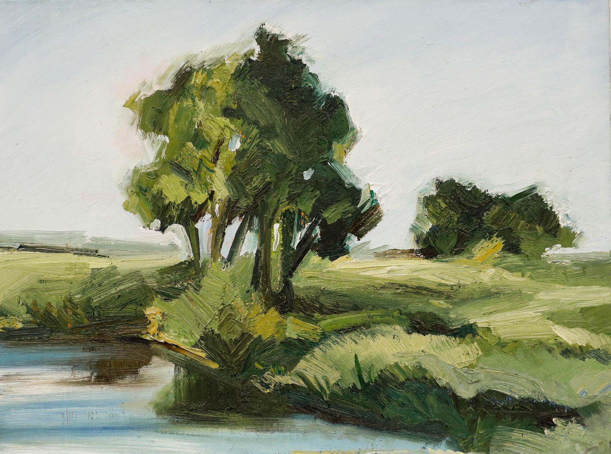 Nick Todhunter - Zeitgenössisches Öl, Sommerbäume – Painting von Unknown