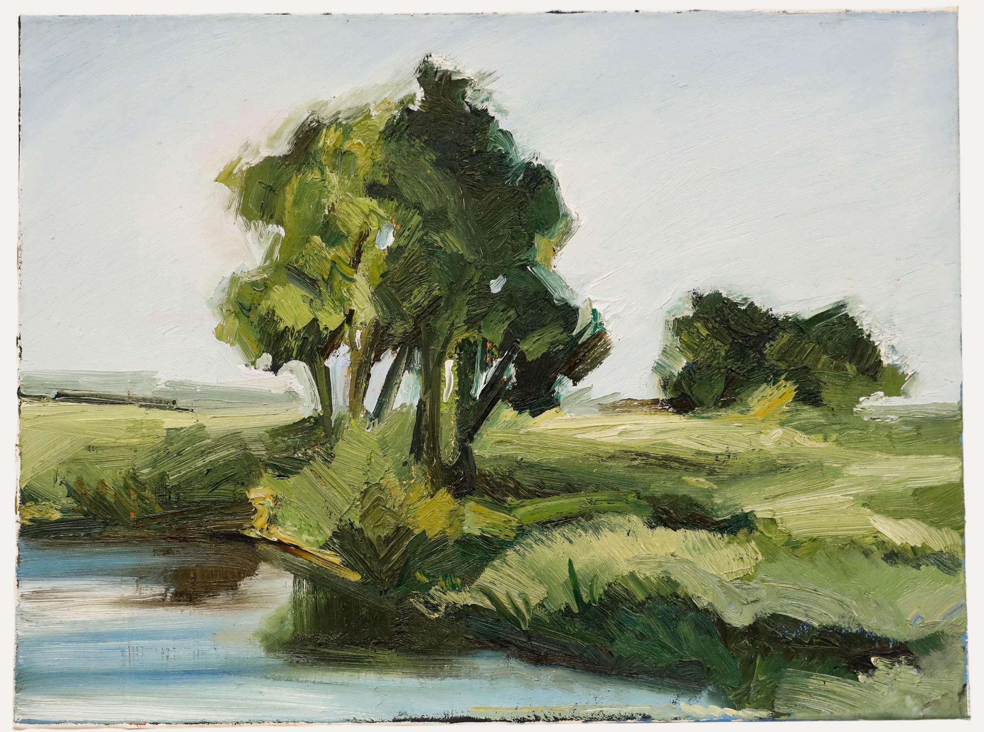 Nick Todhunter - Zeitgenössisches Öl, Sommerbäume