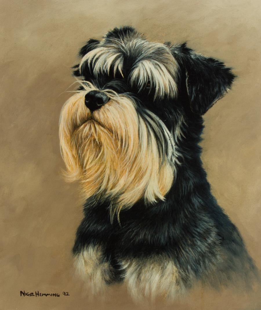 Nigel Hemming - 1992 Oil, Miniature Schnauzer Dog - Painting by Unknown