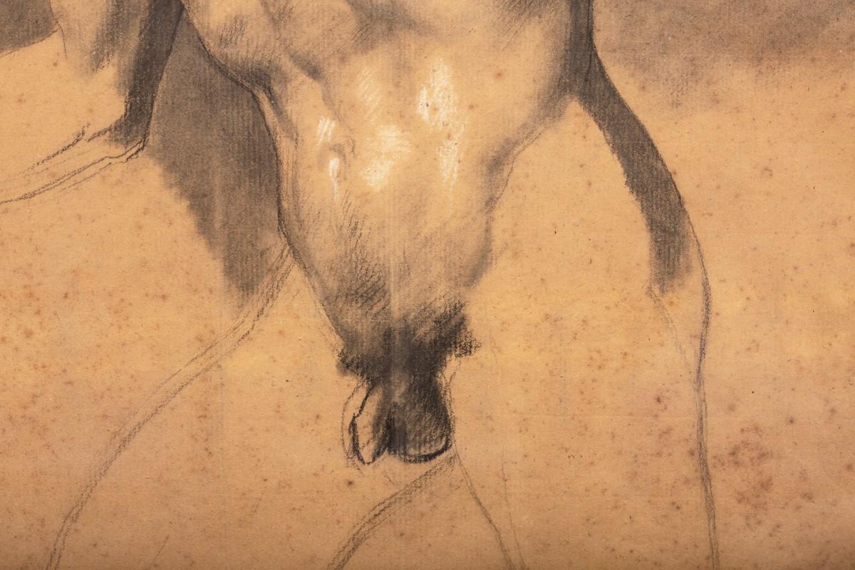 Accademia del nudo maschile in vendita 5