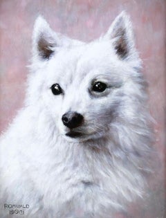 Pintura al óleo sobre tabla retrato de un perro esquimal americano s. XX