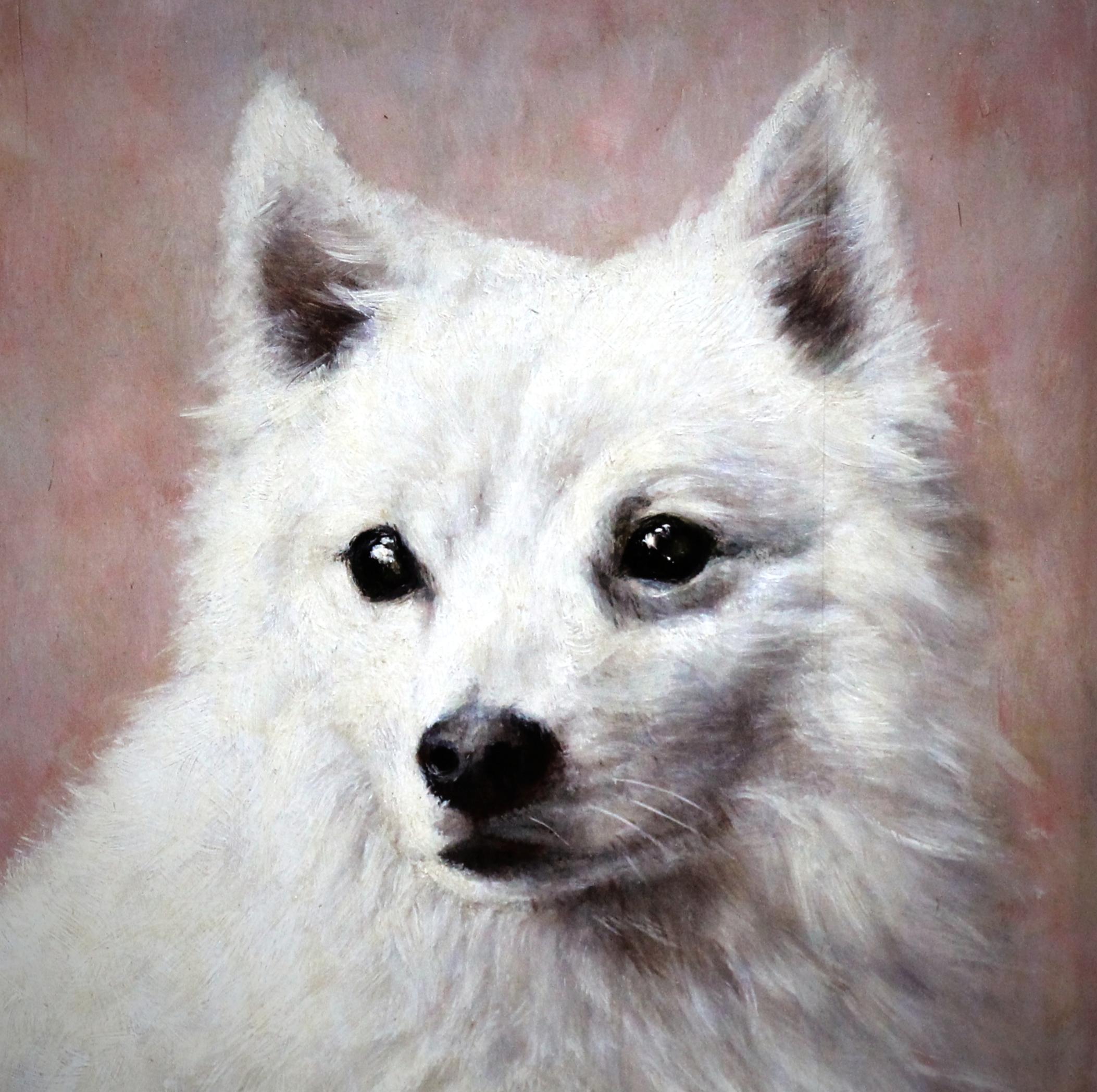Peinture à l'huile sur panneau portrait d'un chien eskimo américain 20ème siècle - Marron Portrait Painting par Unknown
