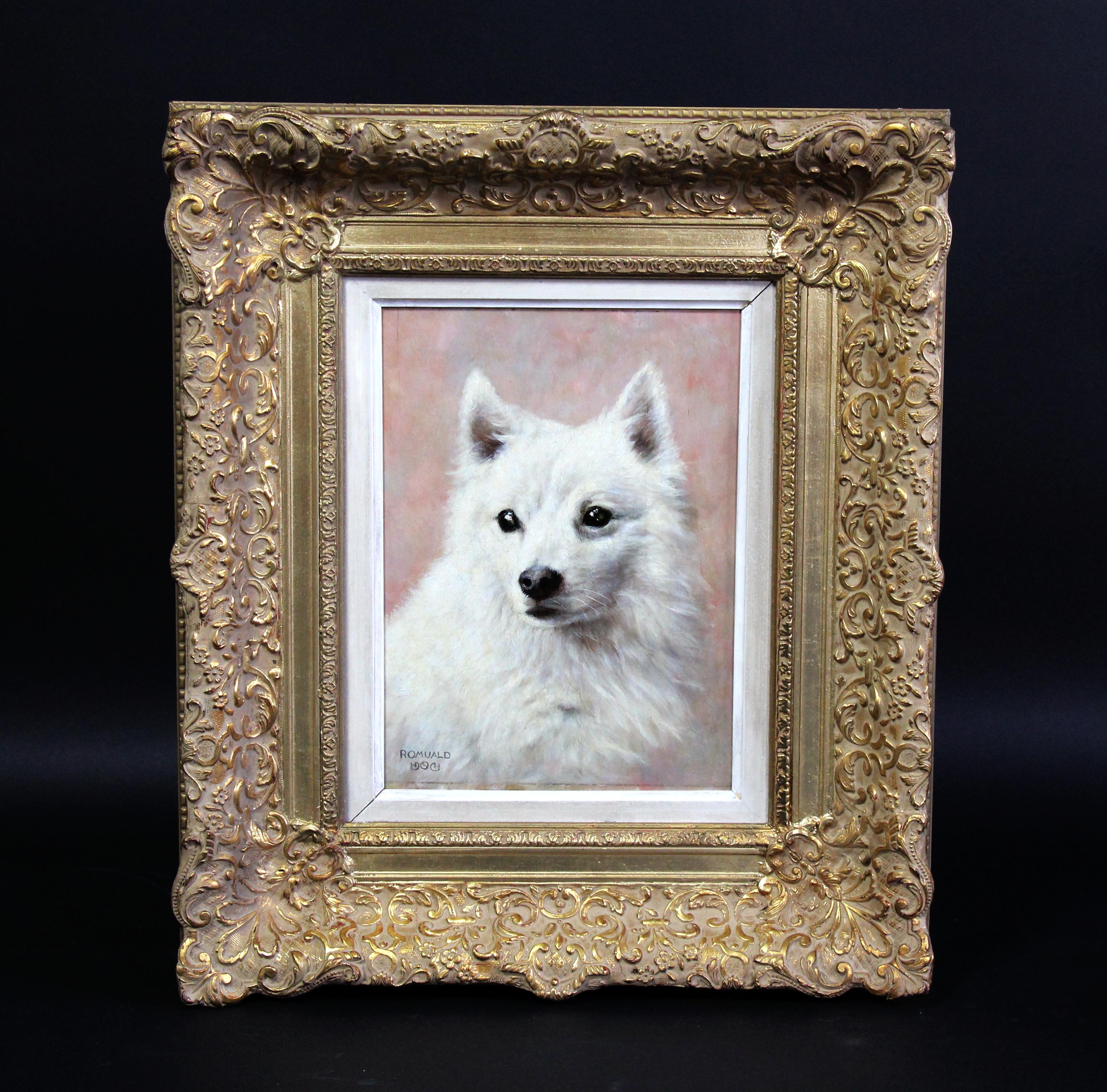 Peinture à l'huile sur panneau portrait d'un chien eskimo américain 20ème siècle

L'Eskimo américain est une race de chien de compagnie originaire d'Allemagne. Le chien Eskimo américain fait partie de la famille des Spitz.
Les géniteurs de la race