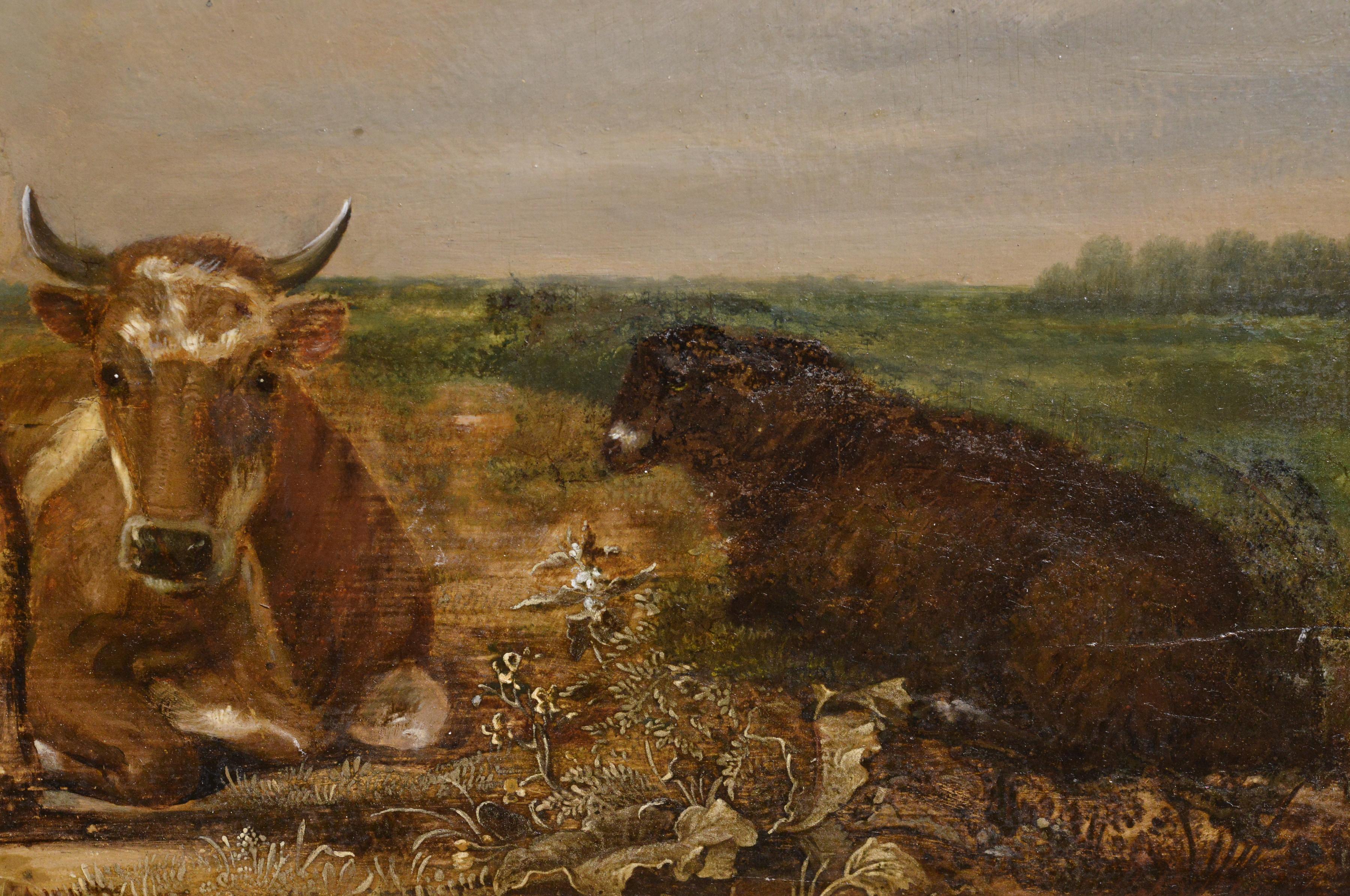 Presumiblemente pintado por el célebre artista holandés Paulus Potter (1625 - 1654), que se especializó en animales dentro de paisajes, normalmente con un punto de vista bajo. 
Pintura antigua al óleo sobre lienzo, sin firmar.
Tamaño aprox: 33,7 x