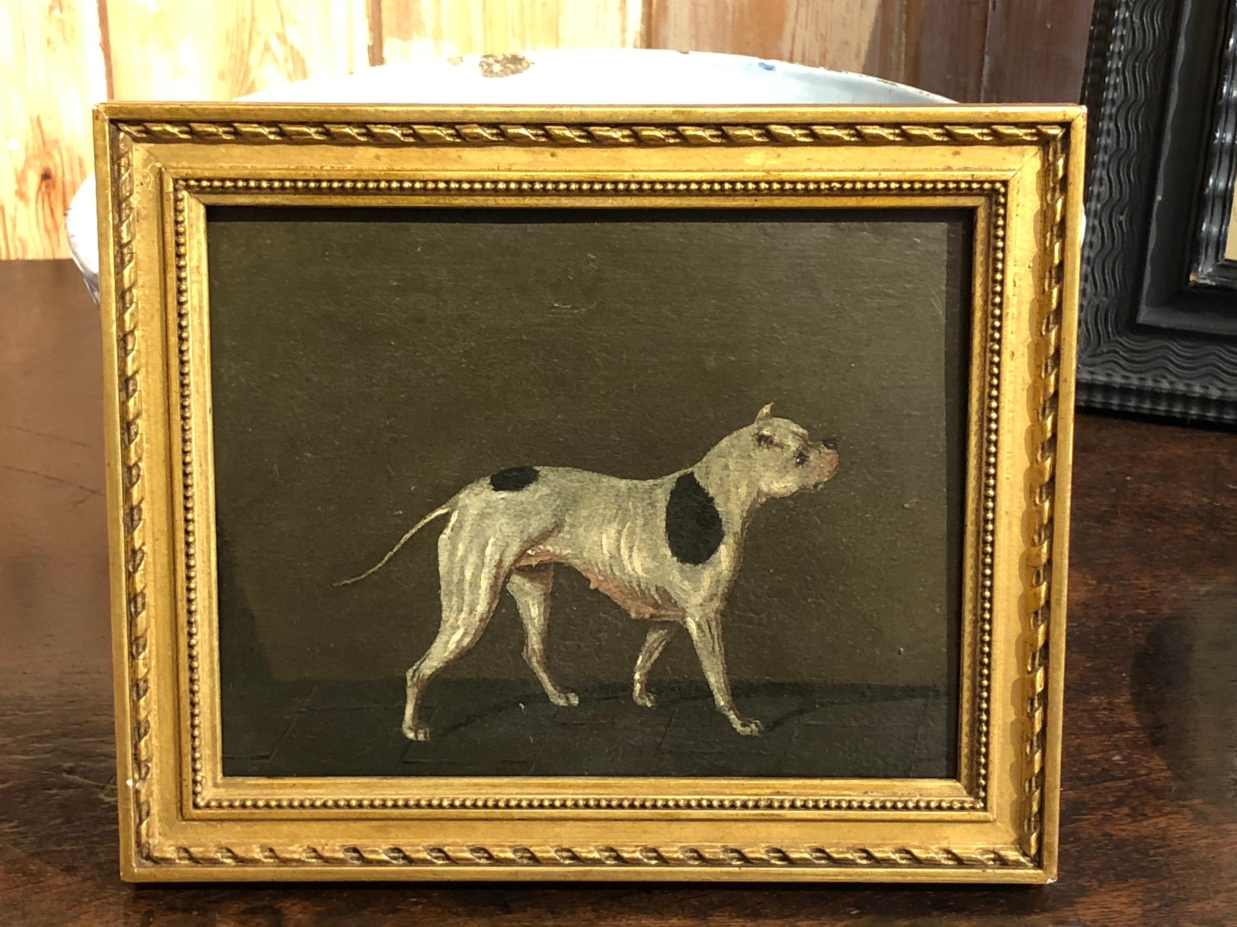 Old English Bulldog, Olio inglese dell'inizio del XIX secolo - Painting di Unknown