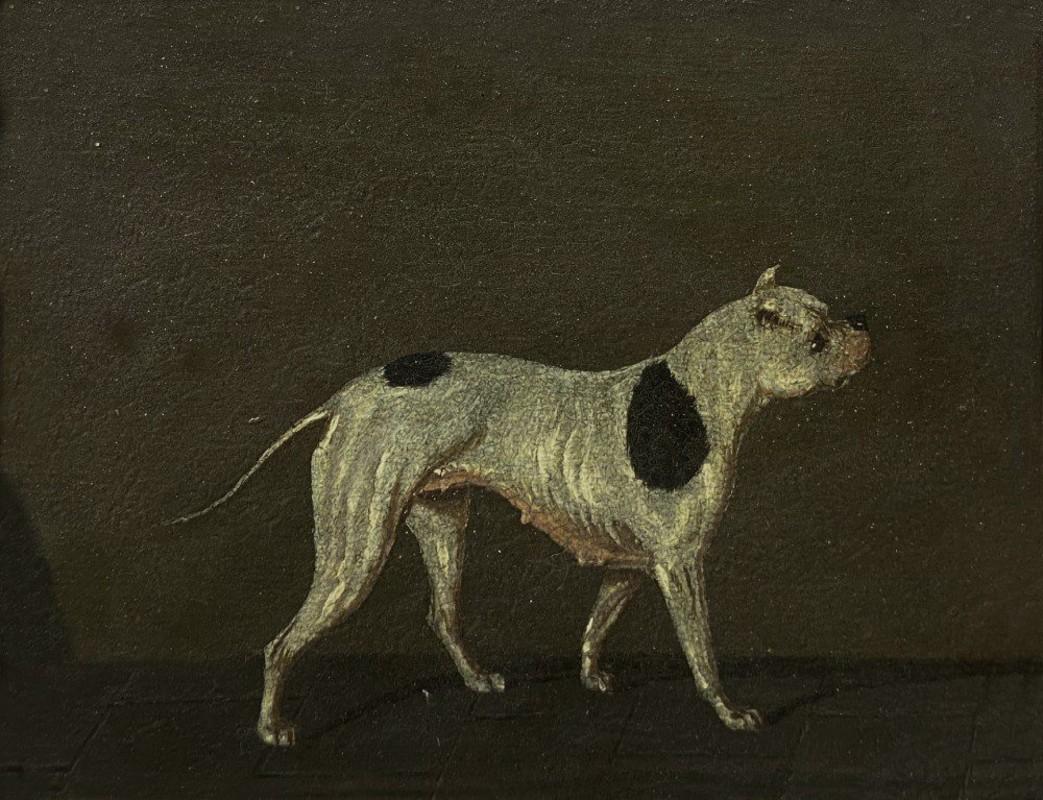 Unknown Animal Painting - Old English Bulldog, English Early 19th Century Oil