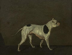 Old English Bulldog, English Early 19th Century Oil