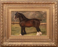 Old English Prize Shire Horse, Hengst, 19. Jahrhundert, zugeschrieben FRANK BABBAGE