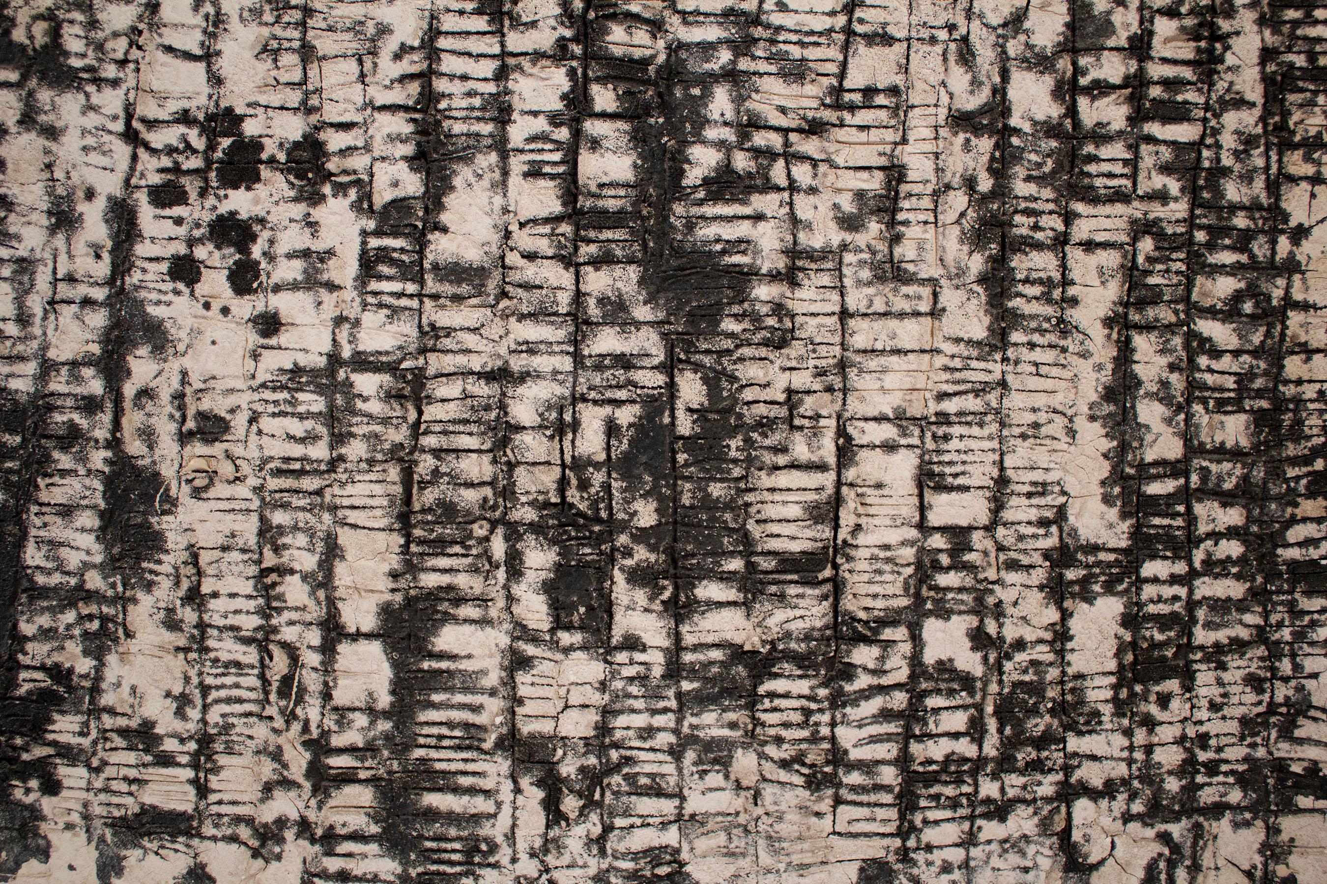 Oscar Piatella Abstract Oil Painting on Canvas 
