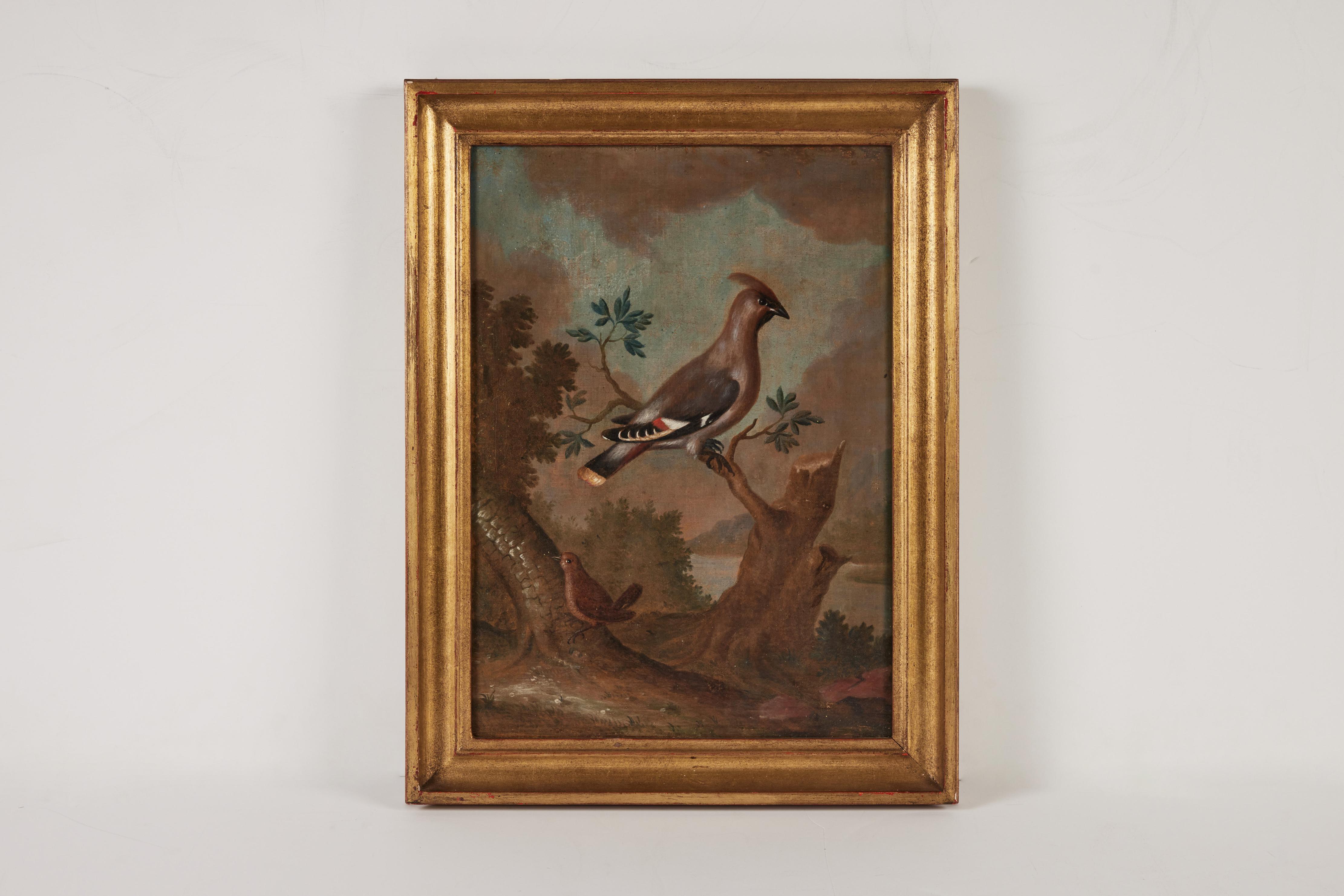 Pair Antique Avian Paintings For Sale 1