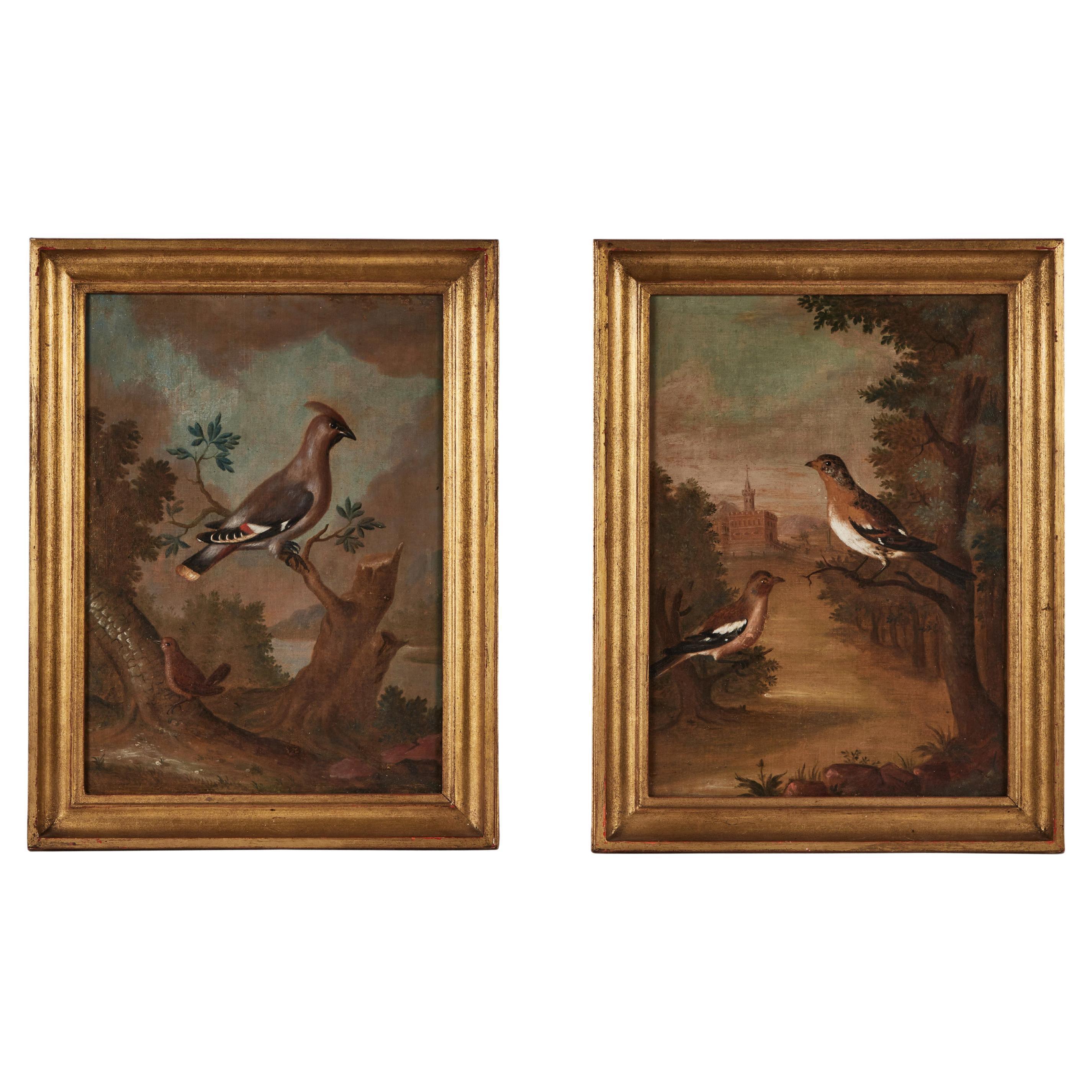 A moody pair of oil on canvas paintings of birds in lush landscapes. Frames later.