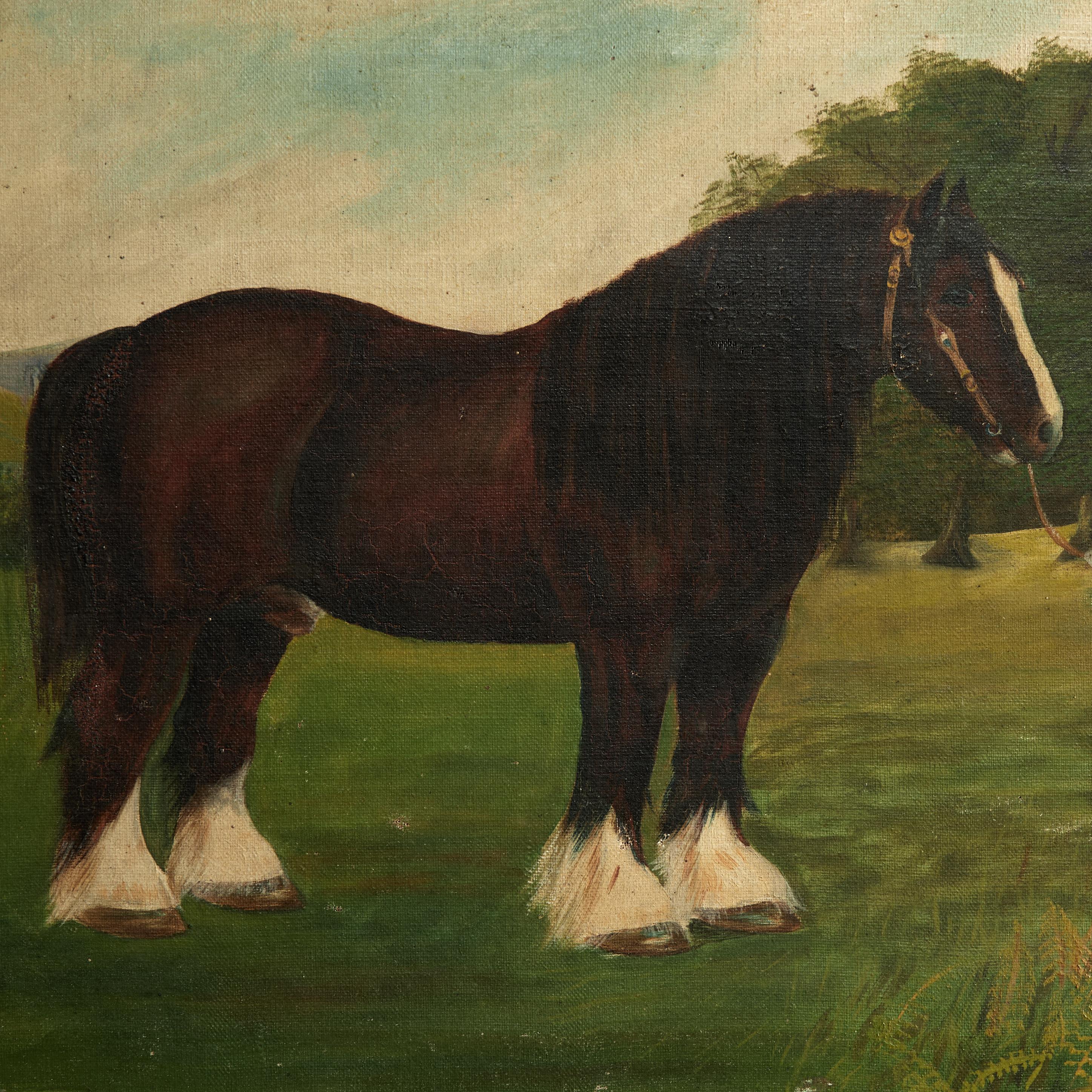 Ein Paar englische Ölgemälde auf Leinwand aus dem 19. Jahrhundert mit Clydesdale-Pferden in einer ländlichen Umgebung mit Figuren. Signiert E. Harris 95 und in vergoldeten Holzrahmen präsentiert. 