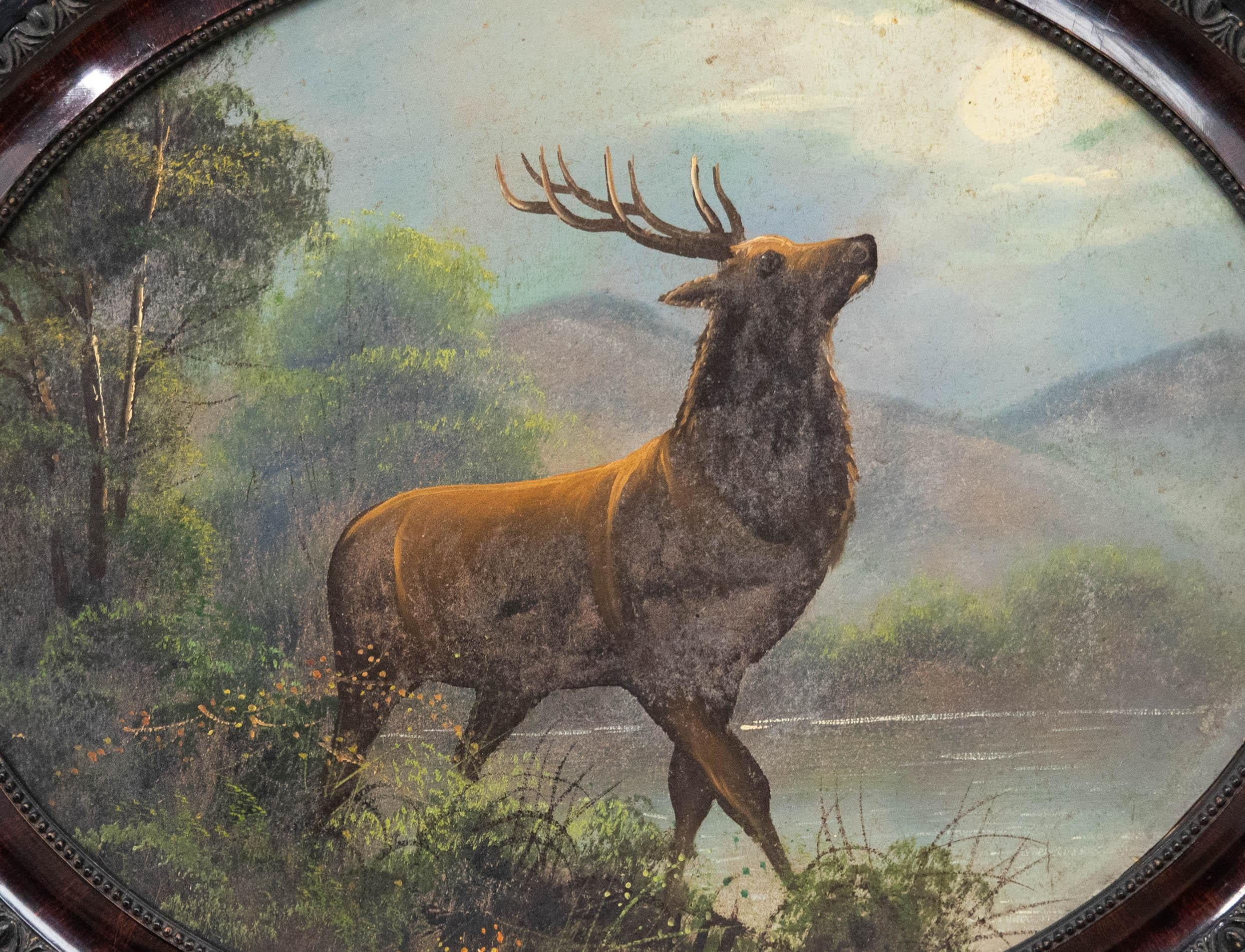 Pair of Early 20th Century Oils - Stags in Oval Frames - Painting by Unknown