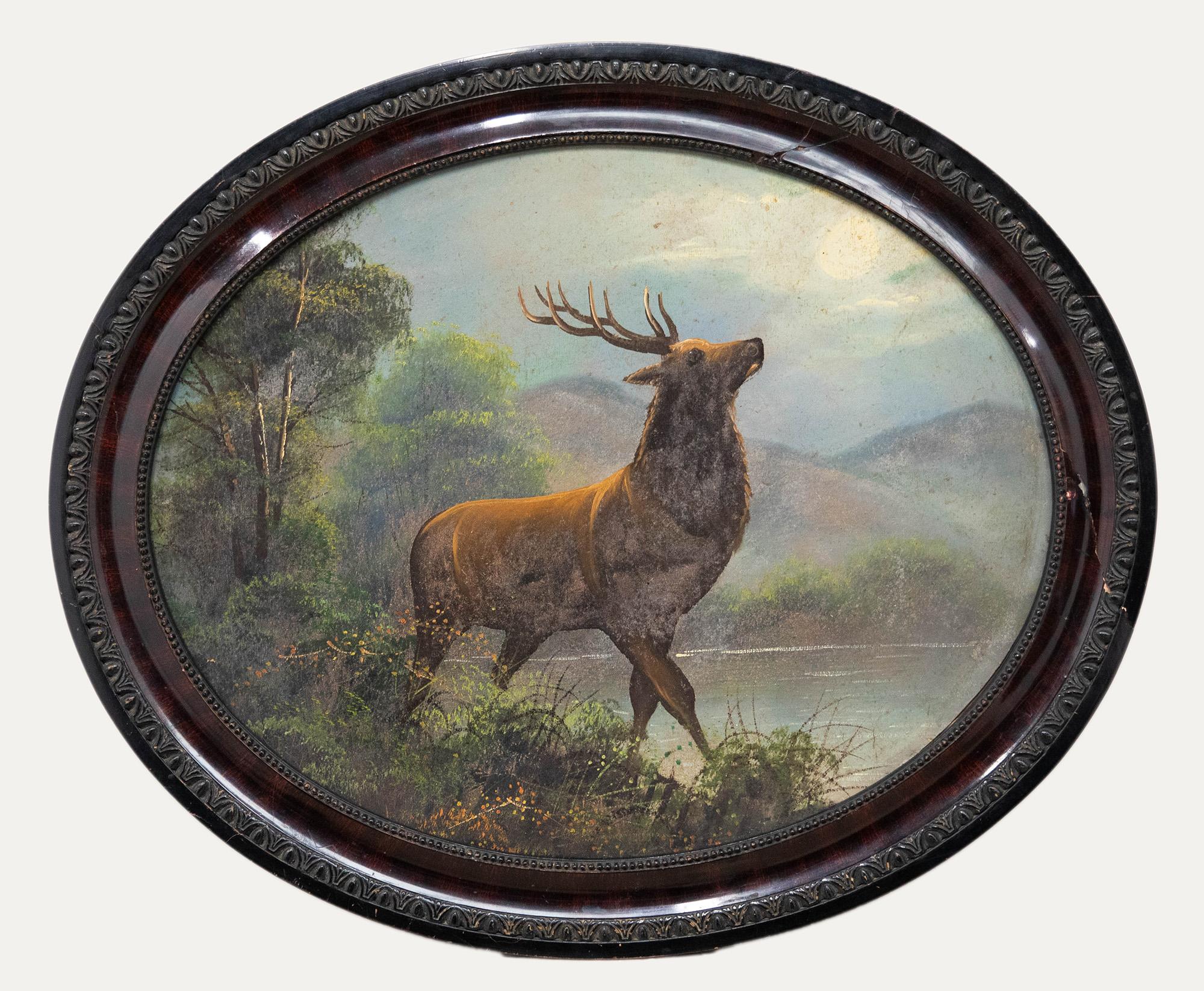 Unknown Animal Painting - Pair of Early 20th Century Oils - Stags in Oval Frames