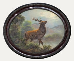 Pair of Early 20th Century Oils - Stags in Oval Frames