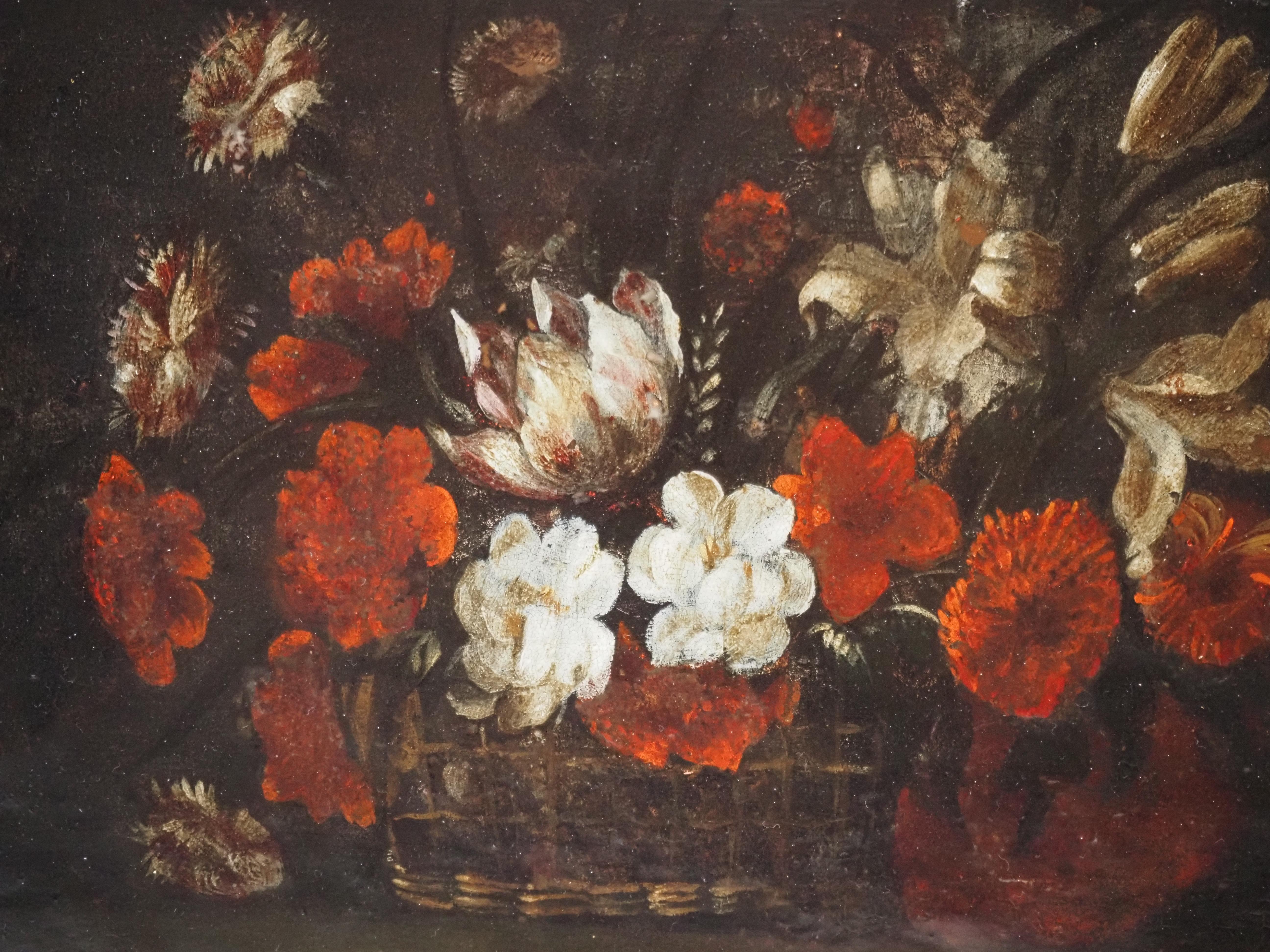 Pareja de bodegones florales sobre cobre, Flandes, siglo XVII, tulipán 5