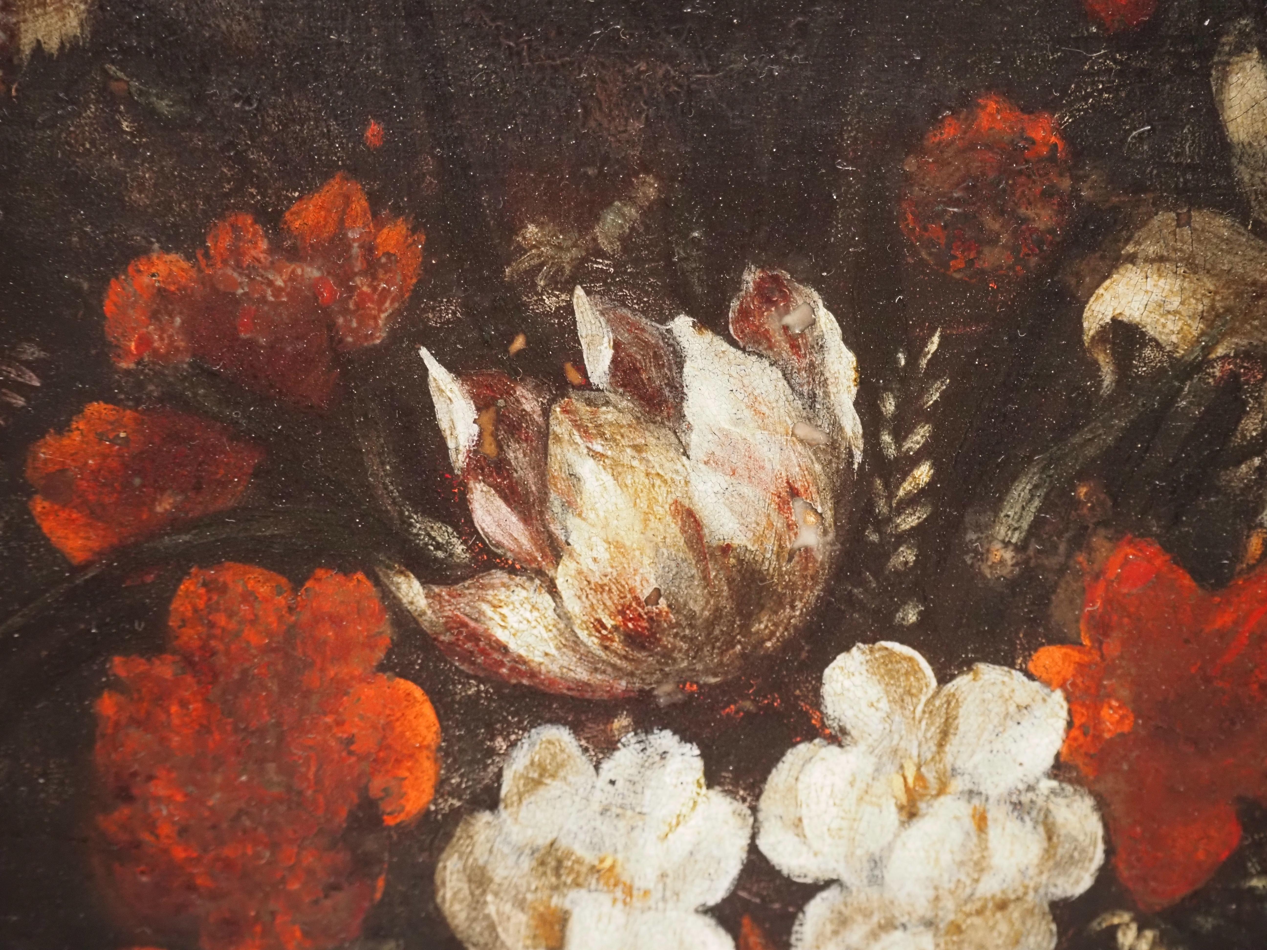 Pareja de bodegones florales sobre cobre, Flandes, siglo XVII, tulipán 6