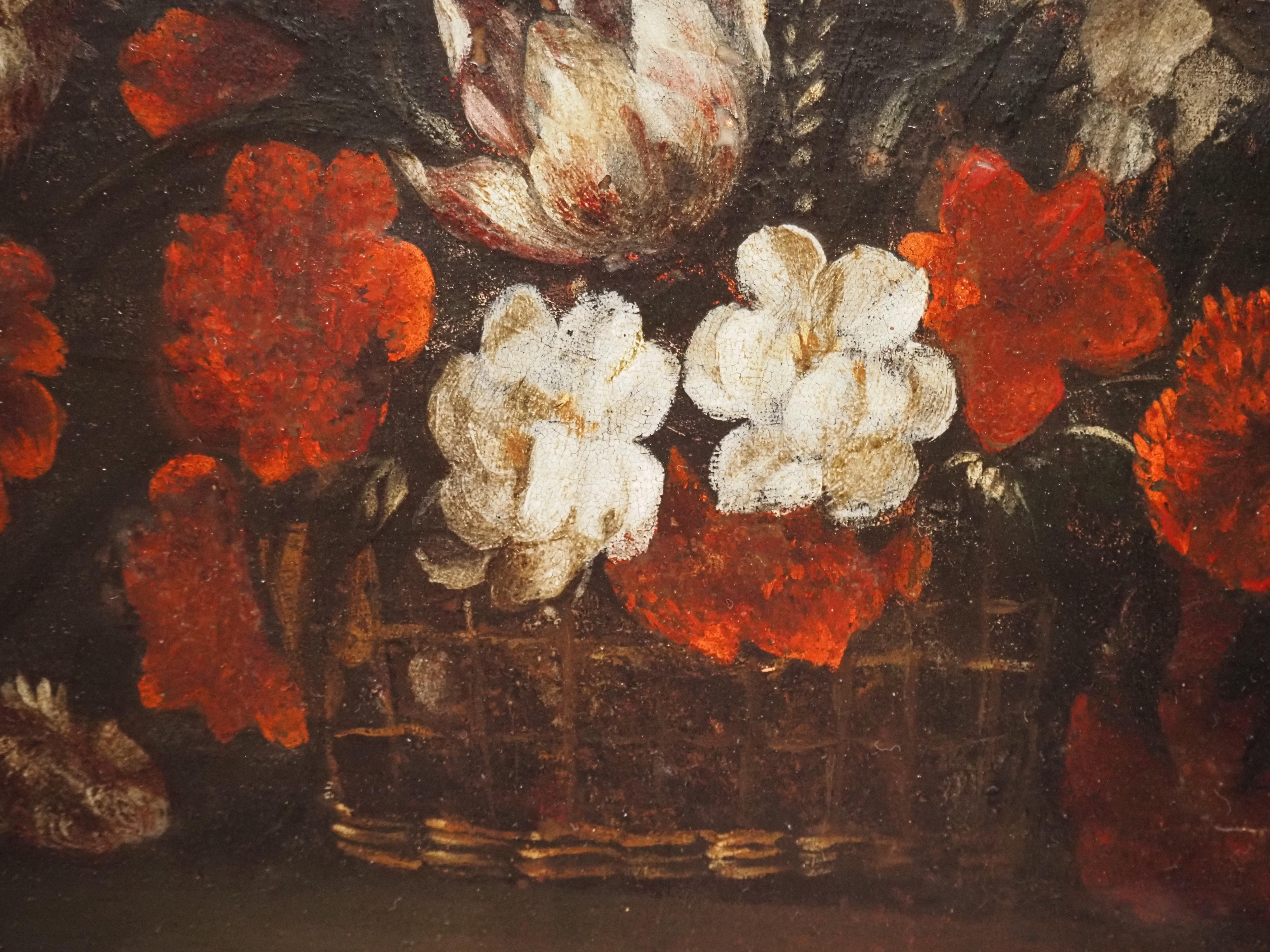 Pareja de bodegones florales sobre cobre, Flandes, siglo XVII, tulipán 7