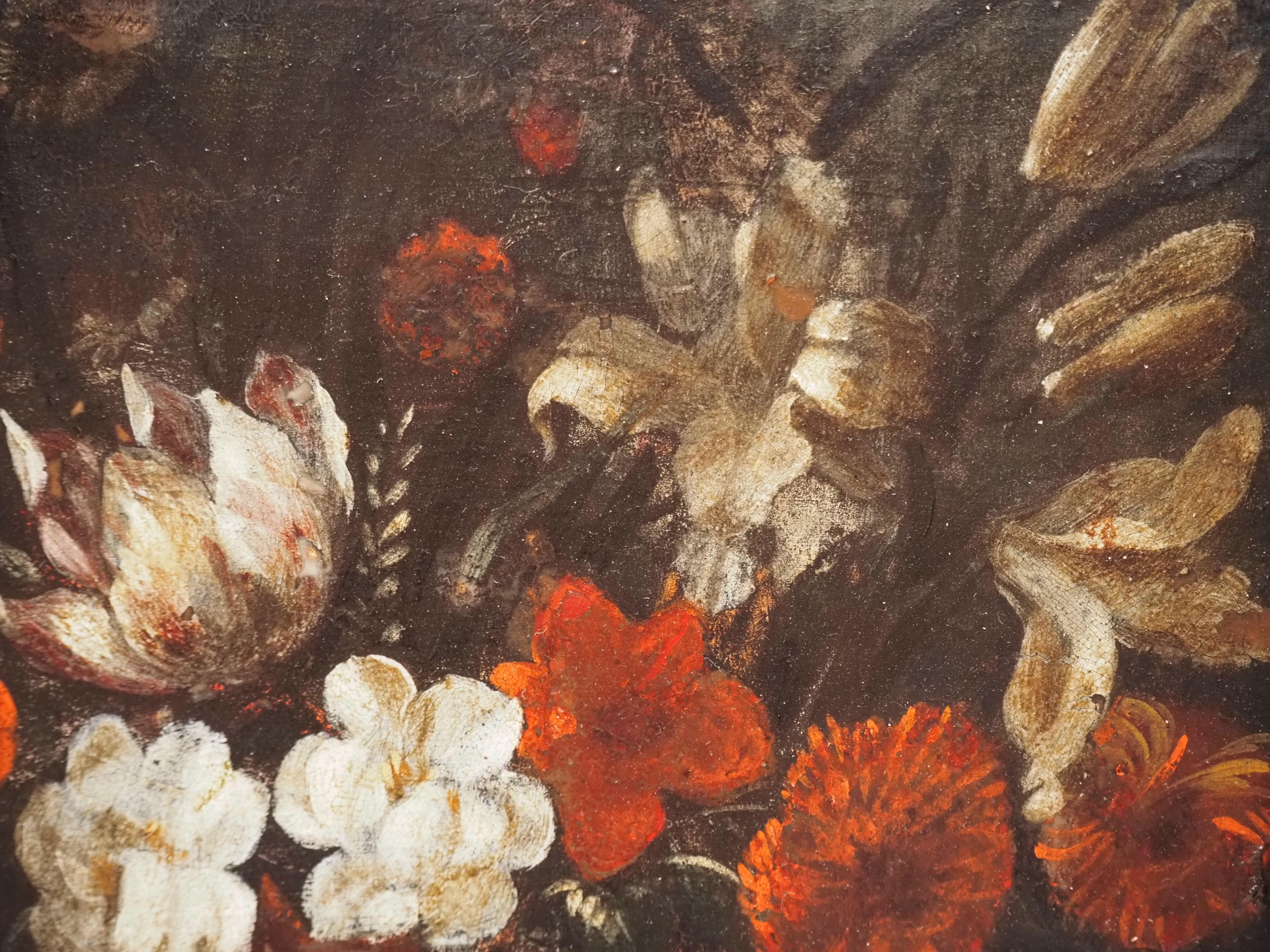 Pareja de bodegones florales sobre cobre, Flandes, siglo XVII, tulipán 8