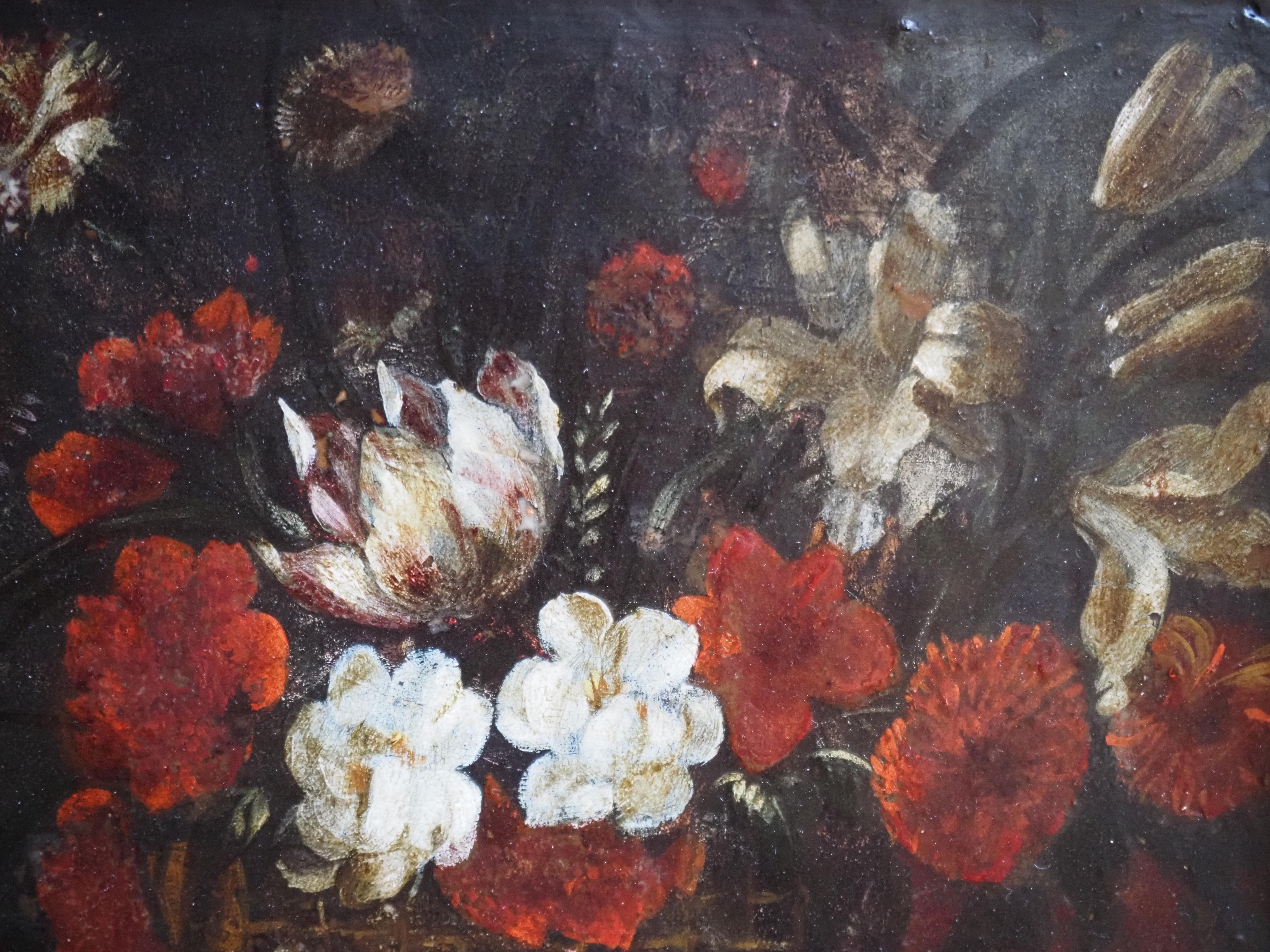 Pareja de bodegones florales sobre cobre, Flandes, siglo XVII, tulipán 12