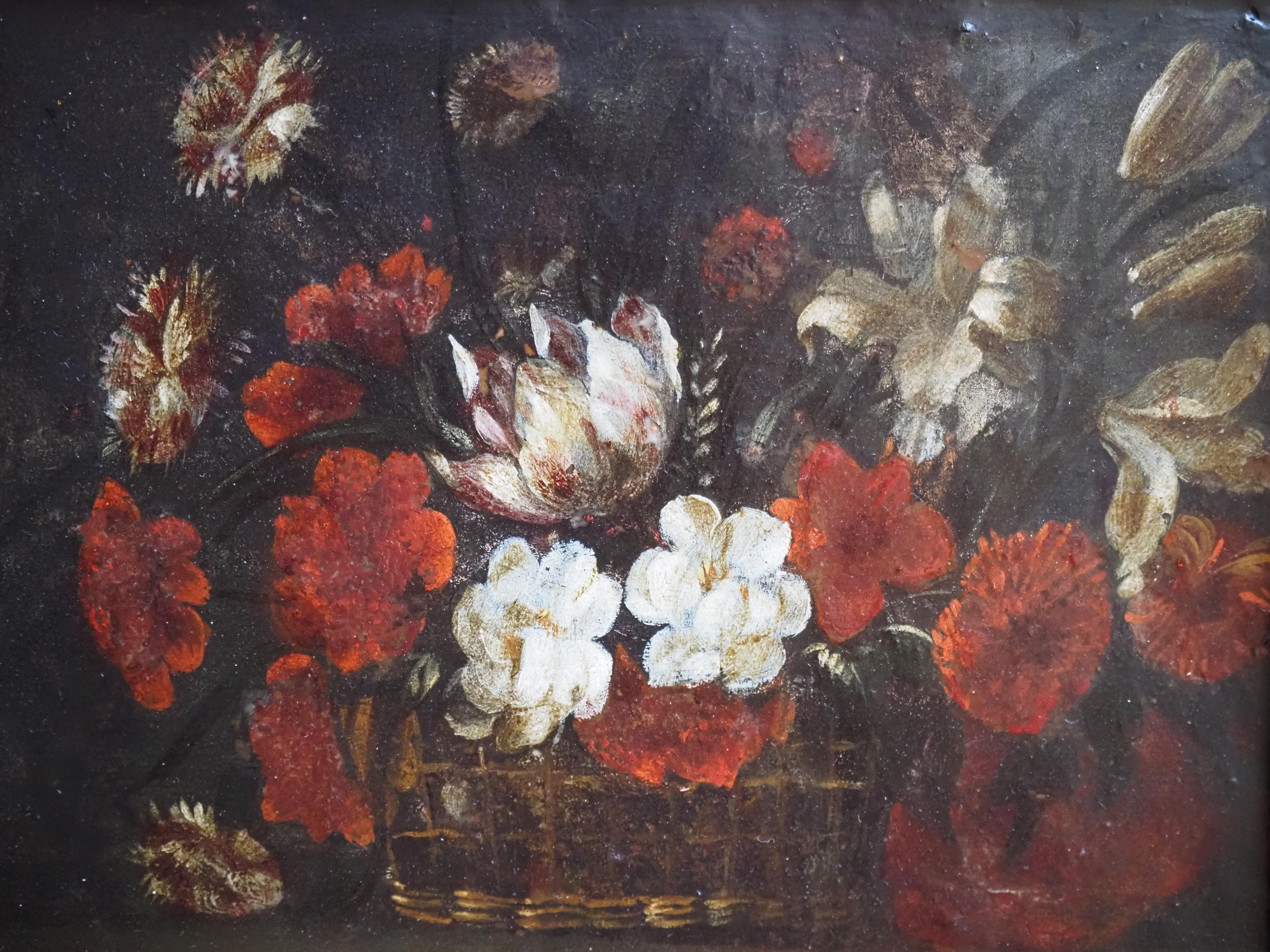 Pareja de bodegones florales sobre cobre, Flandes, siglo XVII, tulipán 13